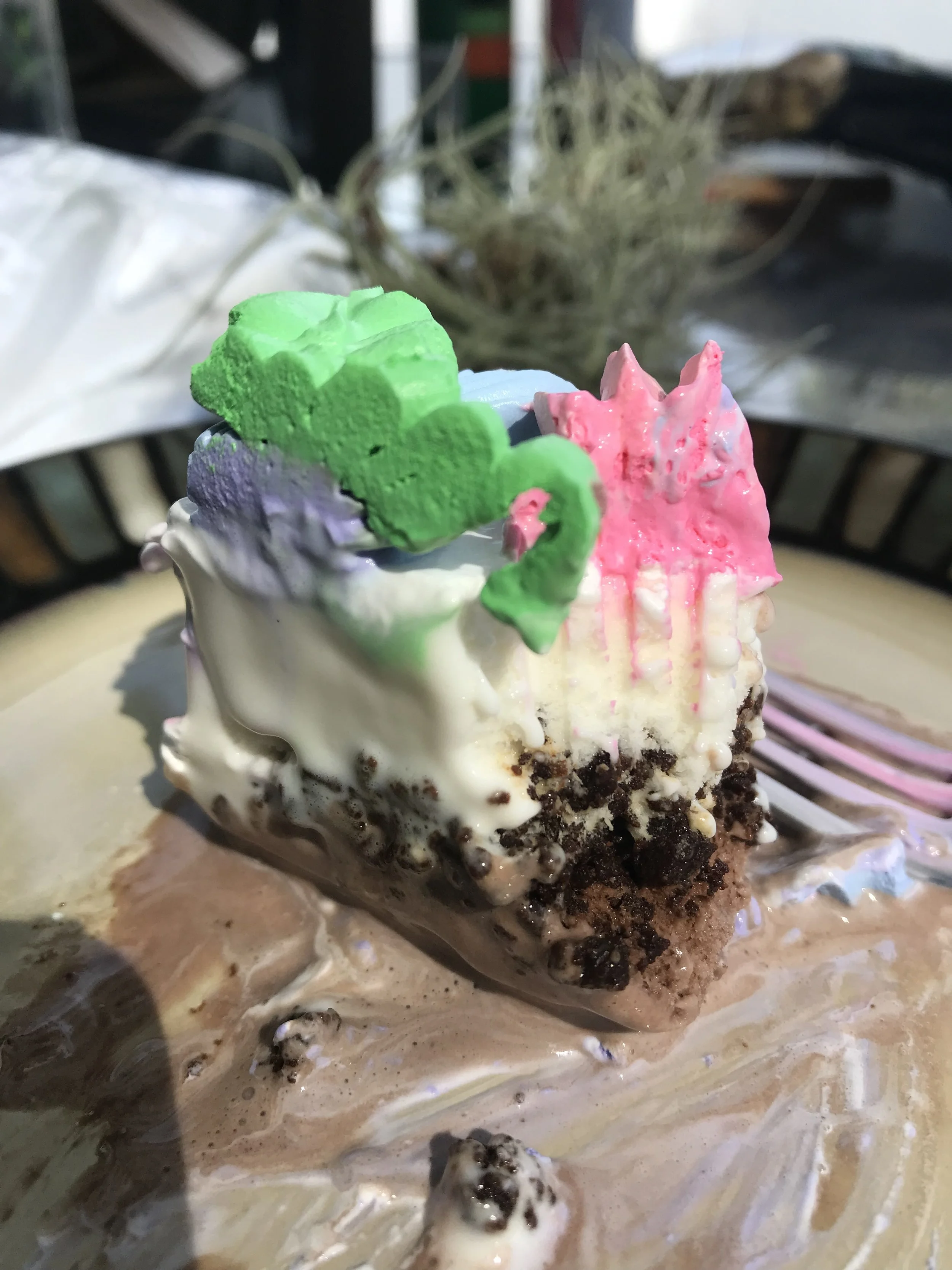 IMG_2102.jpeg
