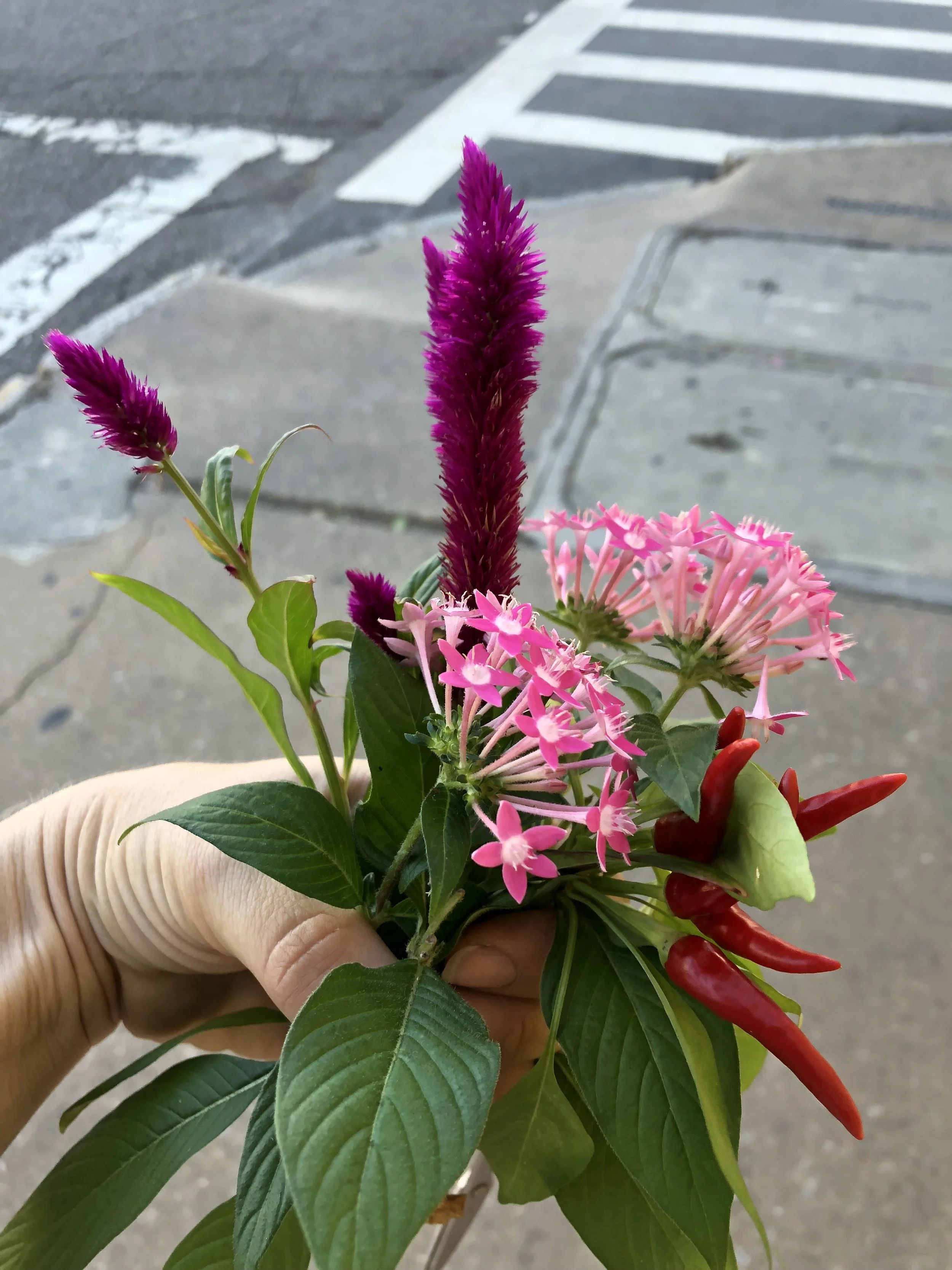IMG_0404.jpeg