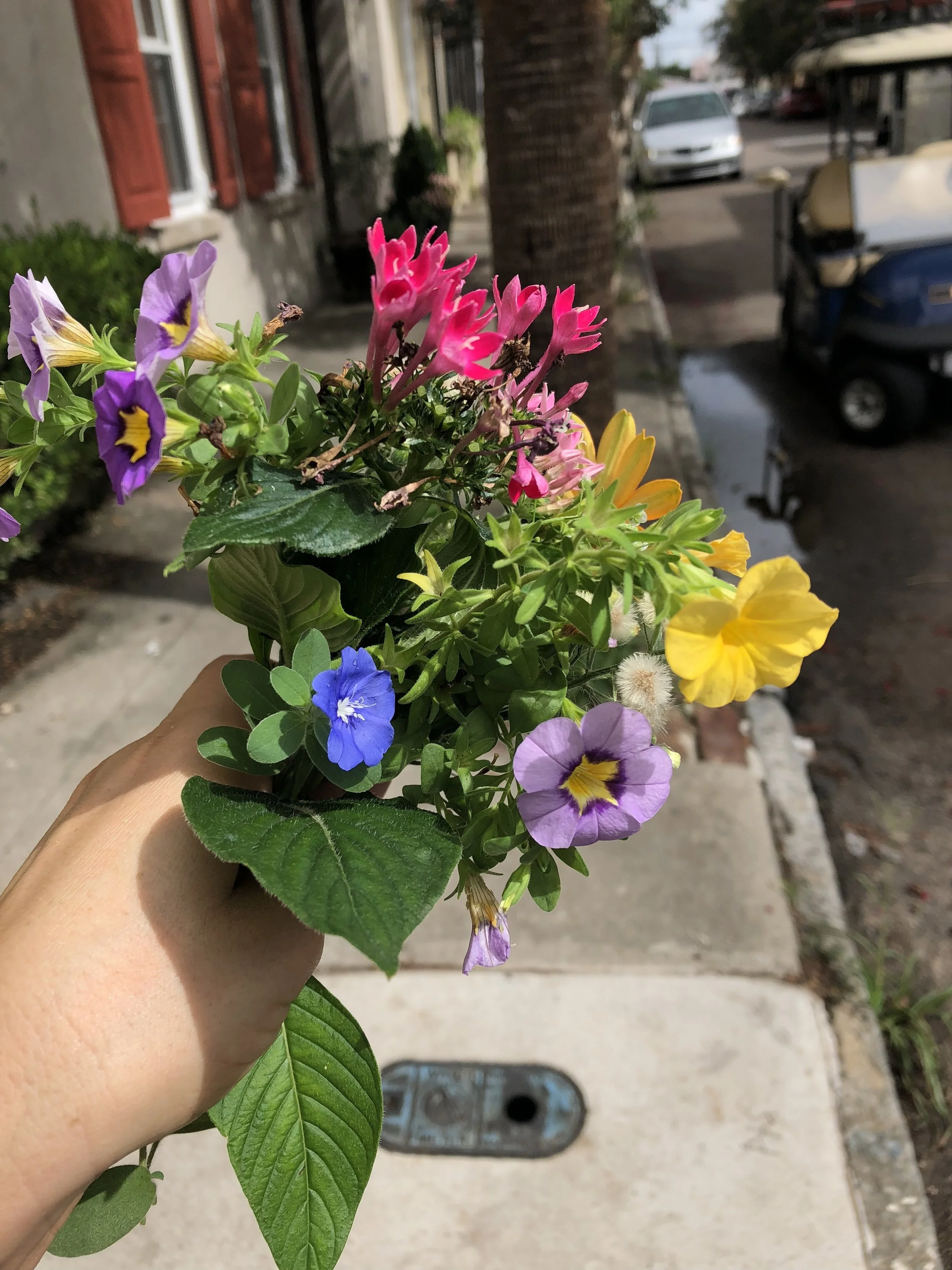 IMG_0091.jpeg
