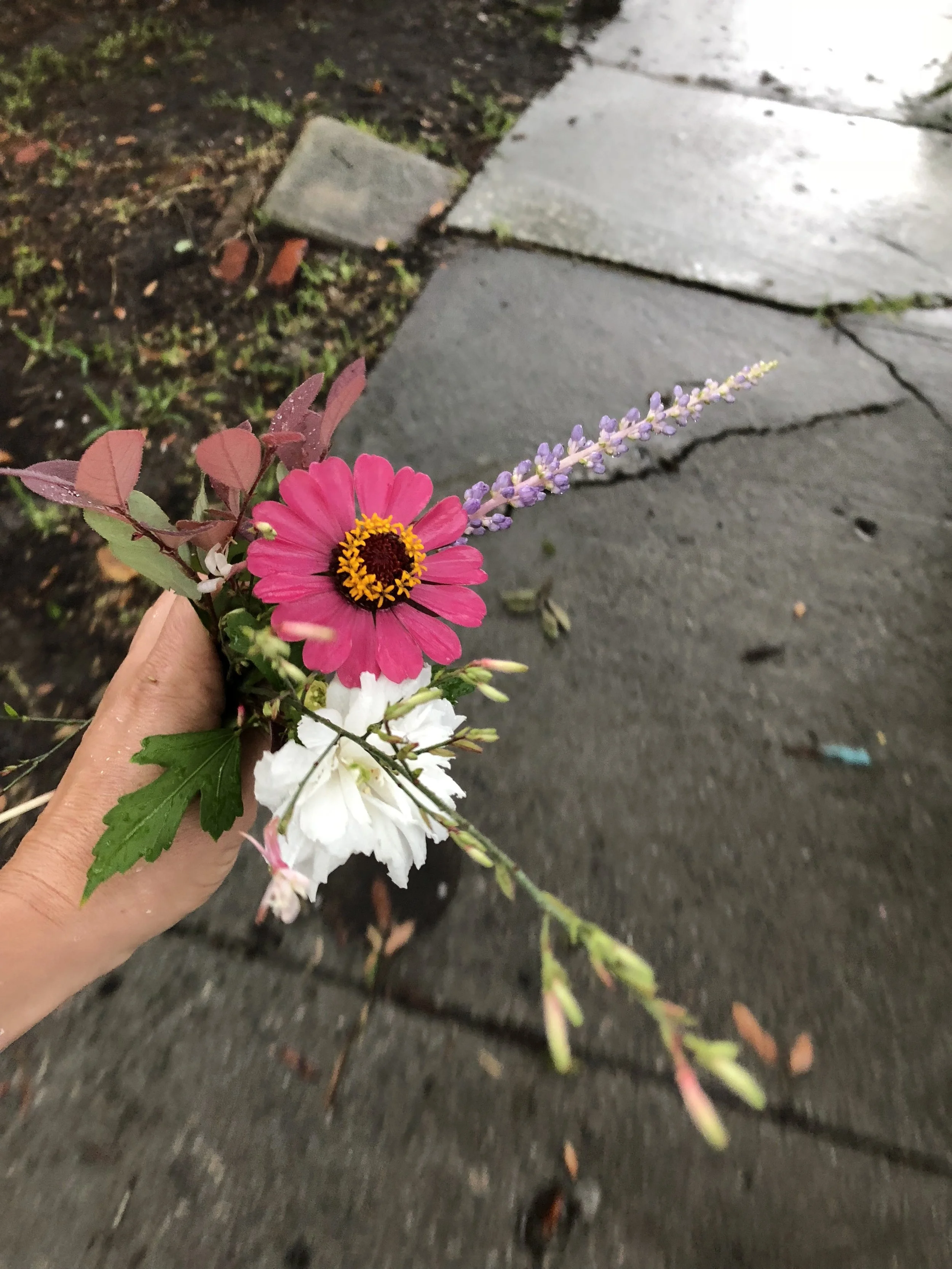 IMG_0022.jpeg