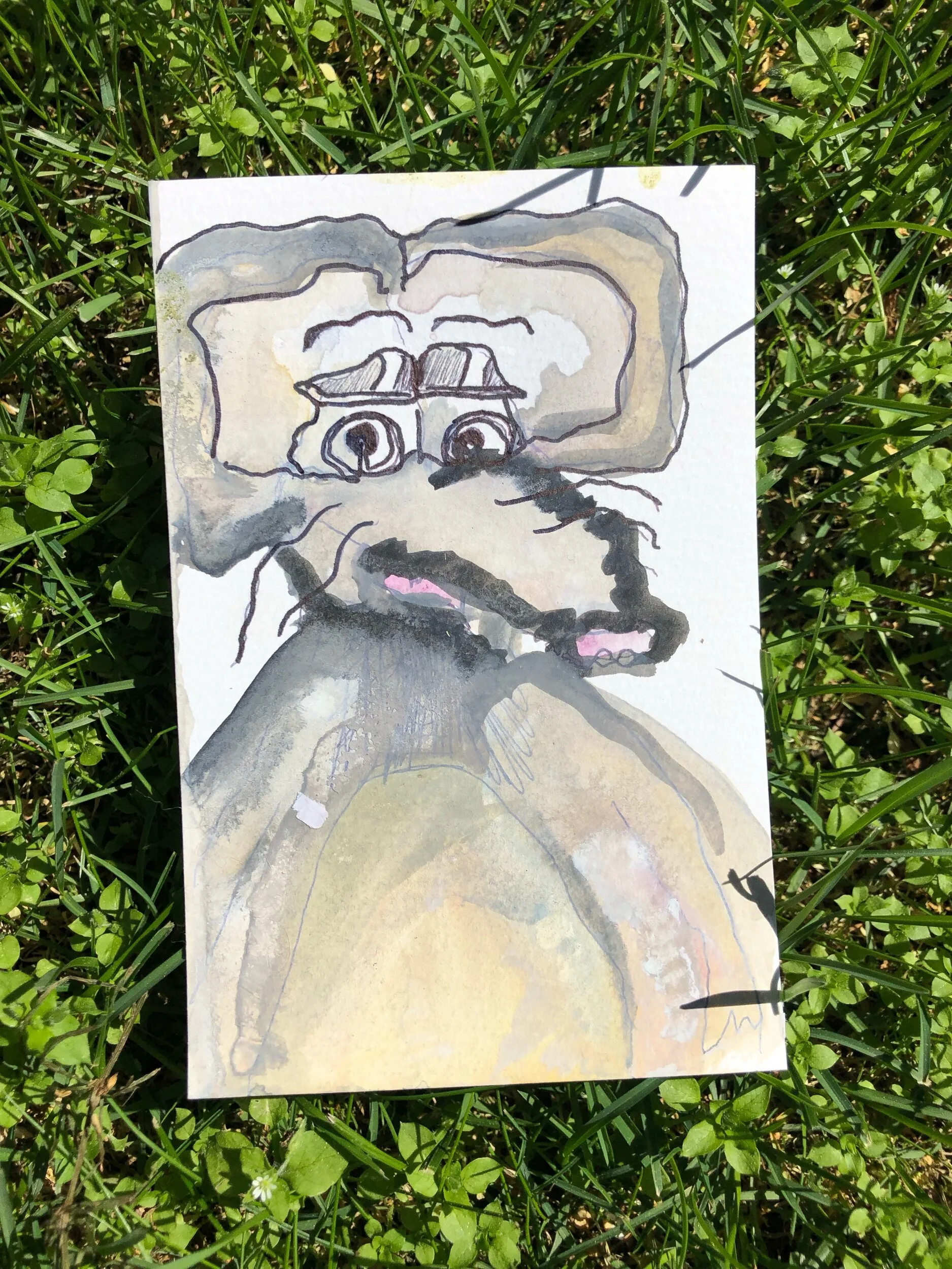 IMG_2417.jpeg