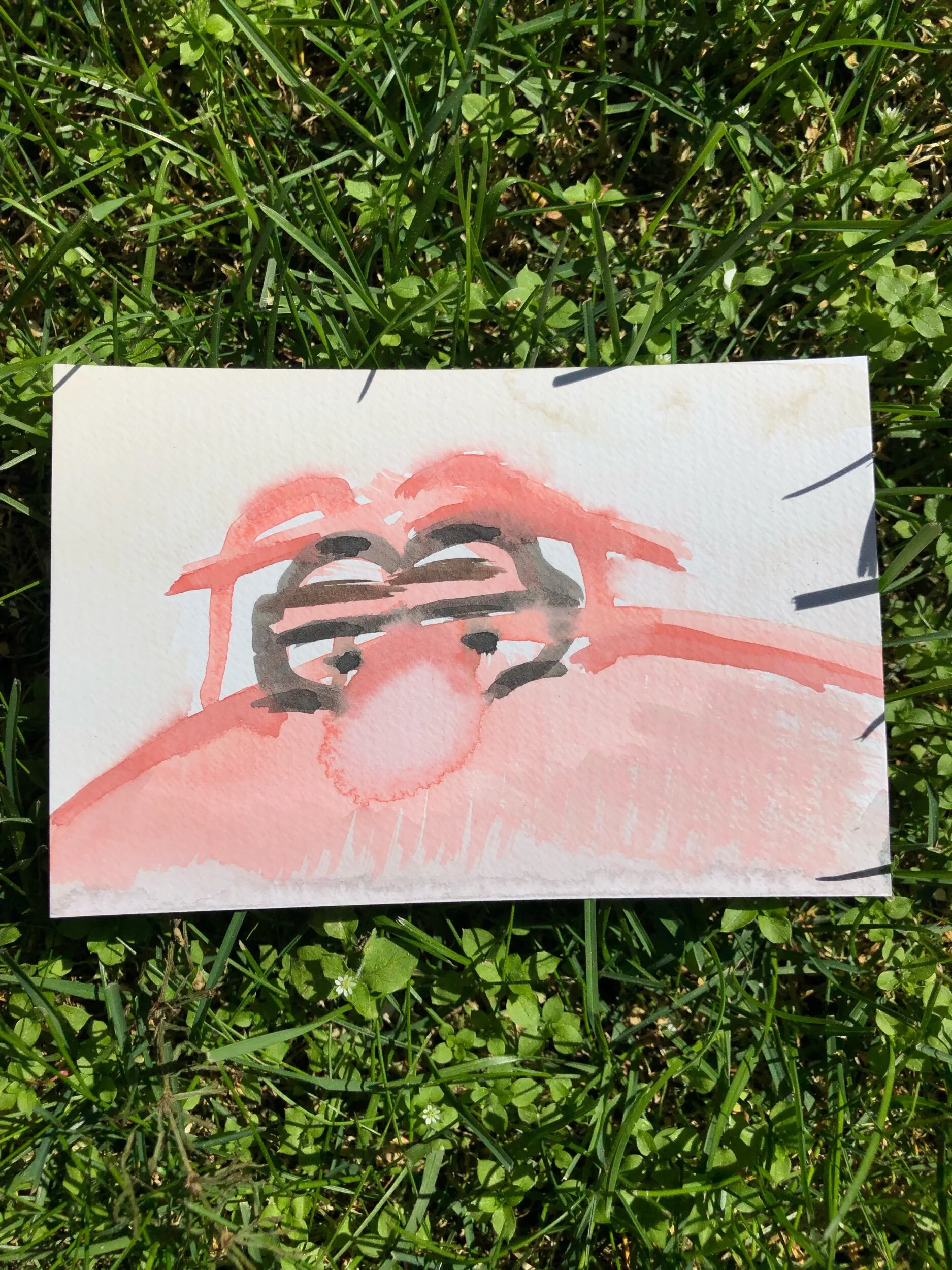 IMG_2418.jpeg