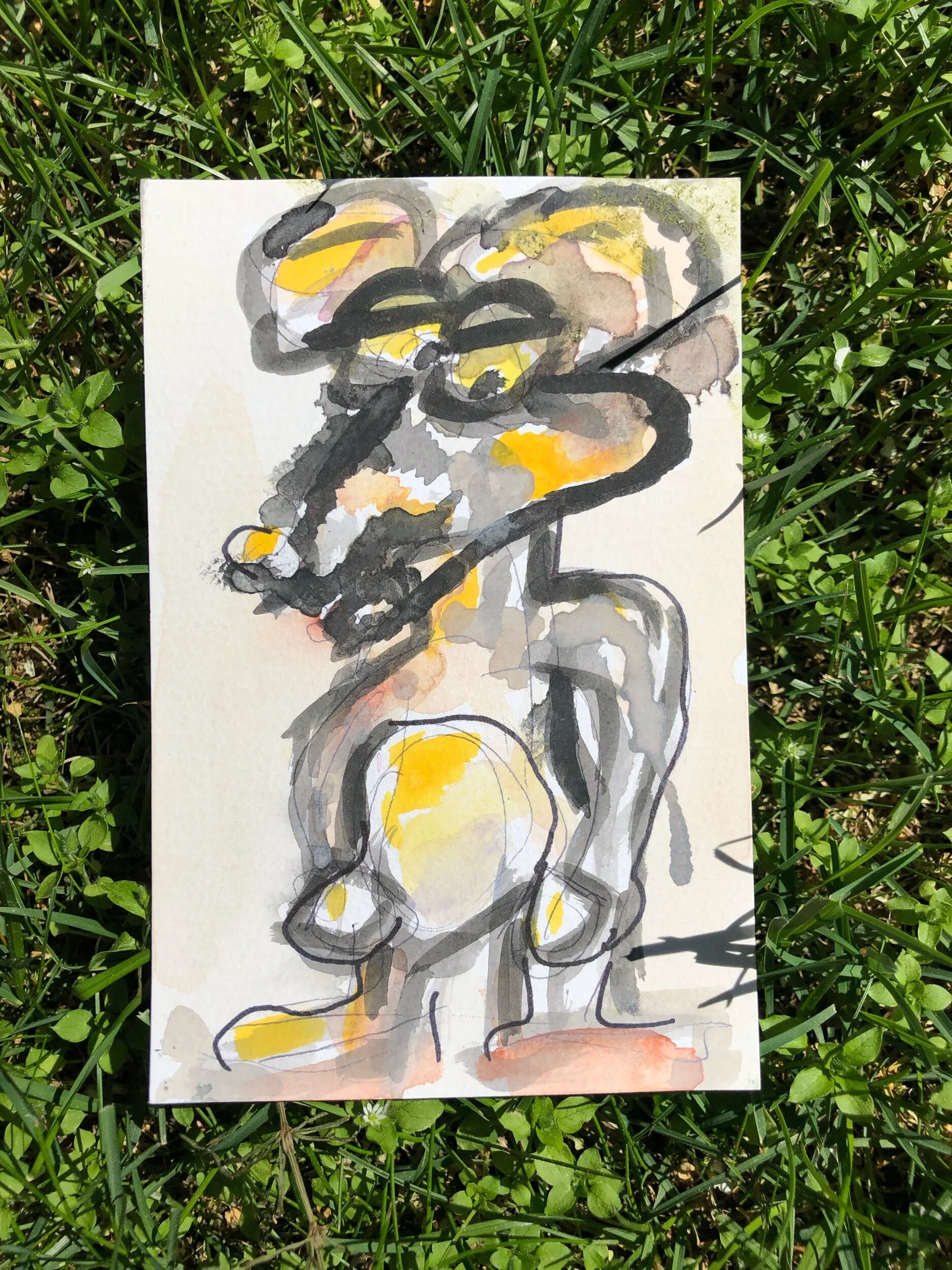 IMG_2420.jpeg