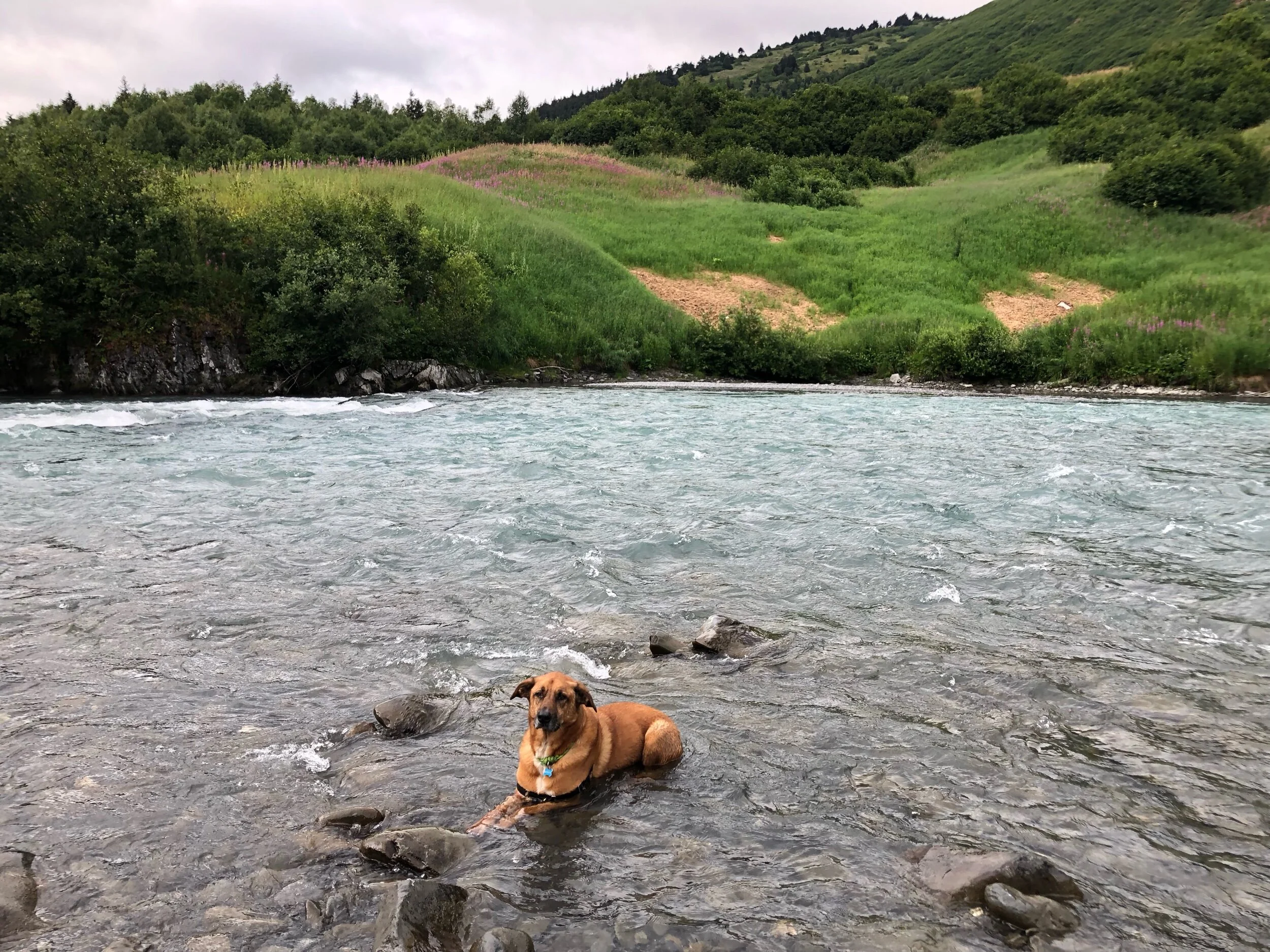 IMG_3347.jpeg
