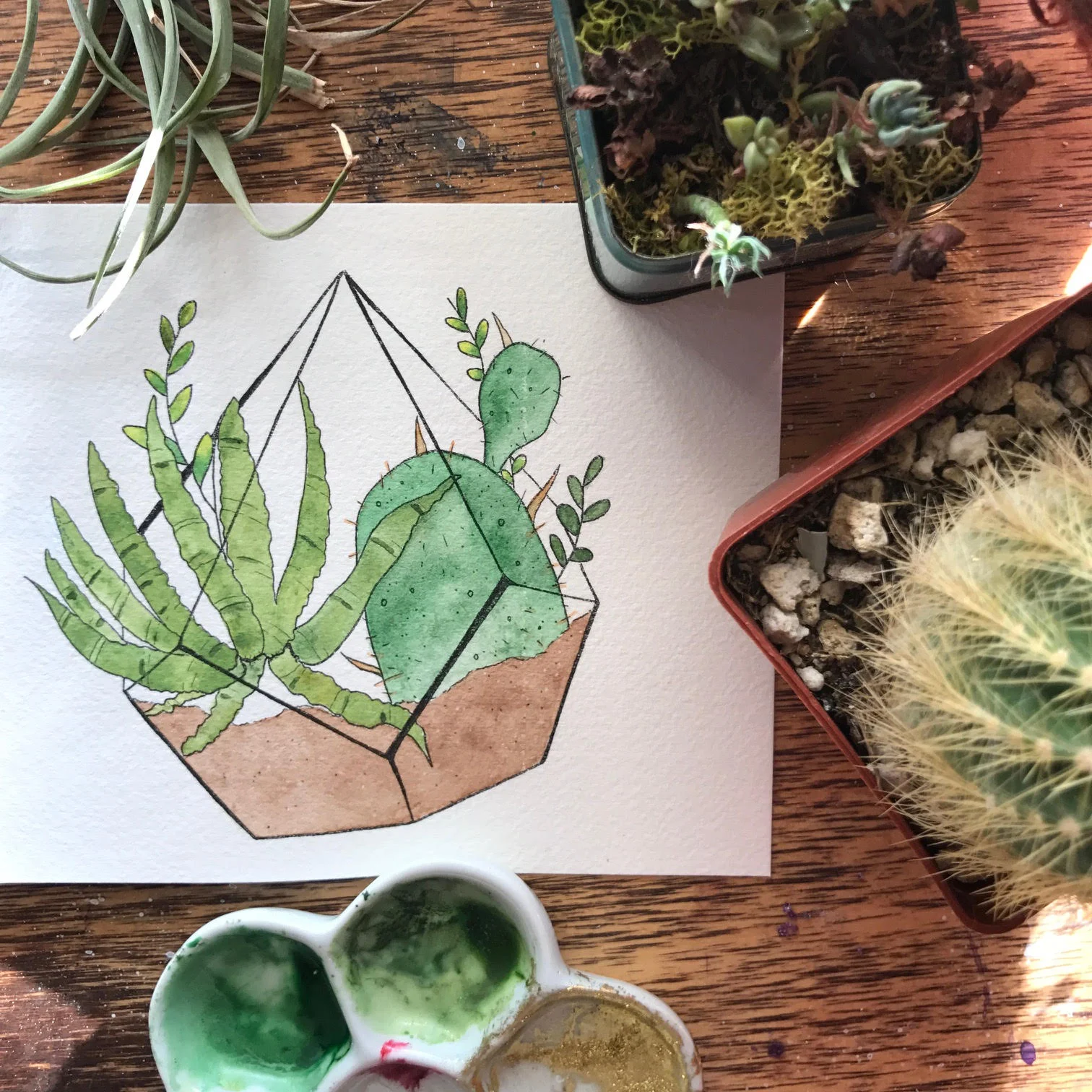 Watercolor Cactus Workshop - Cleobella - Sunset Beach