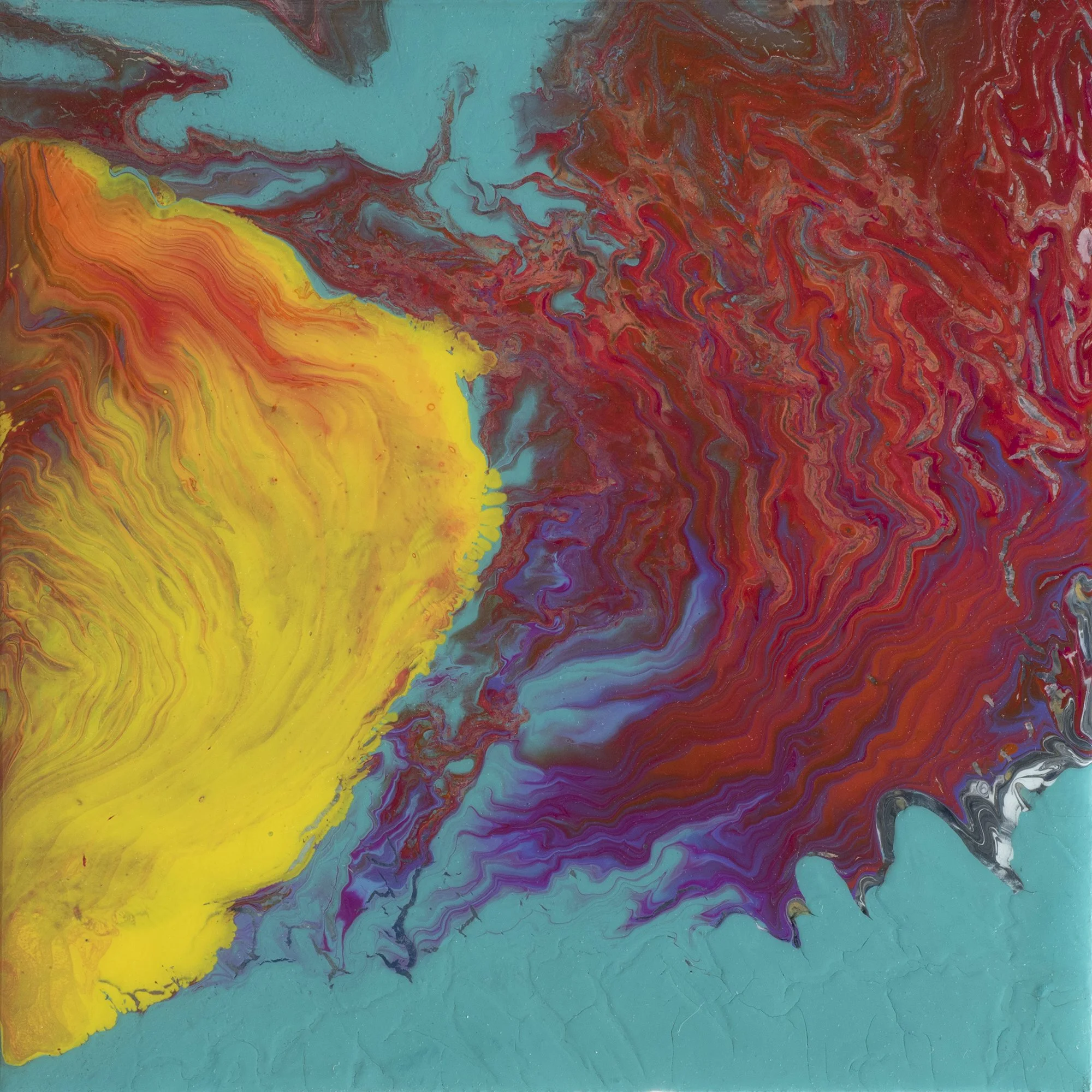 primary10x10 copy2000pix.JPG