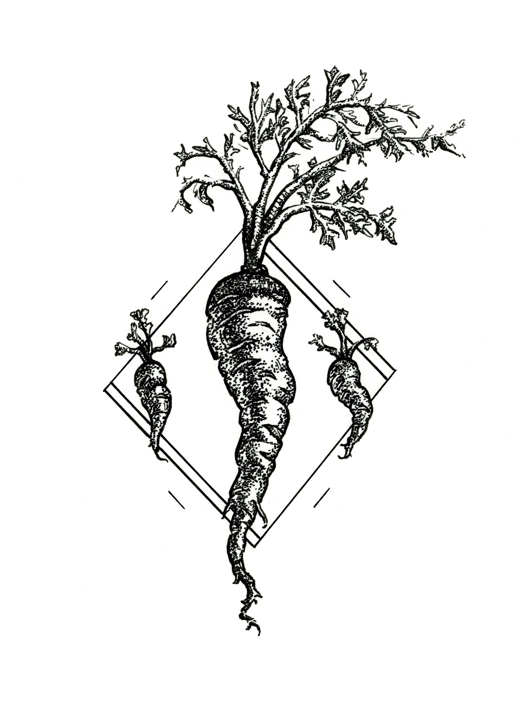 carrot_6x8_FINAL2022 copy.JPG