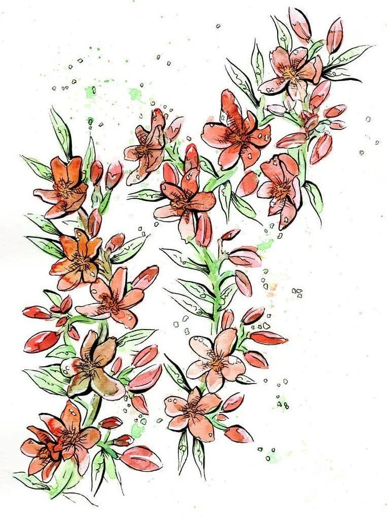 https://i.etsystatic.com/10514001/r/il/f26245/1792980454/il_fullxfull.1792980454_kurq.jpg