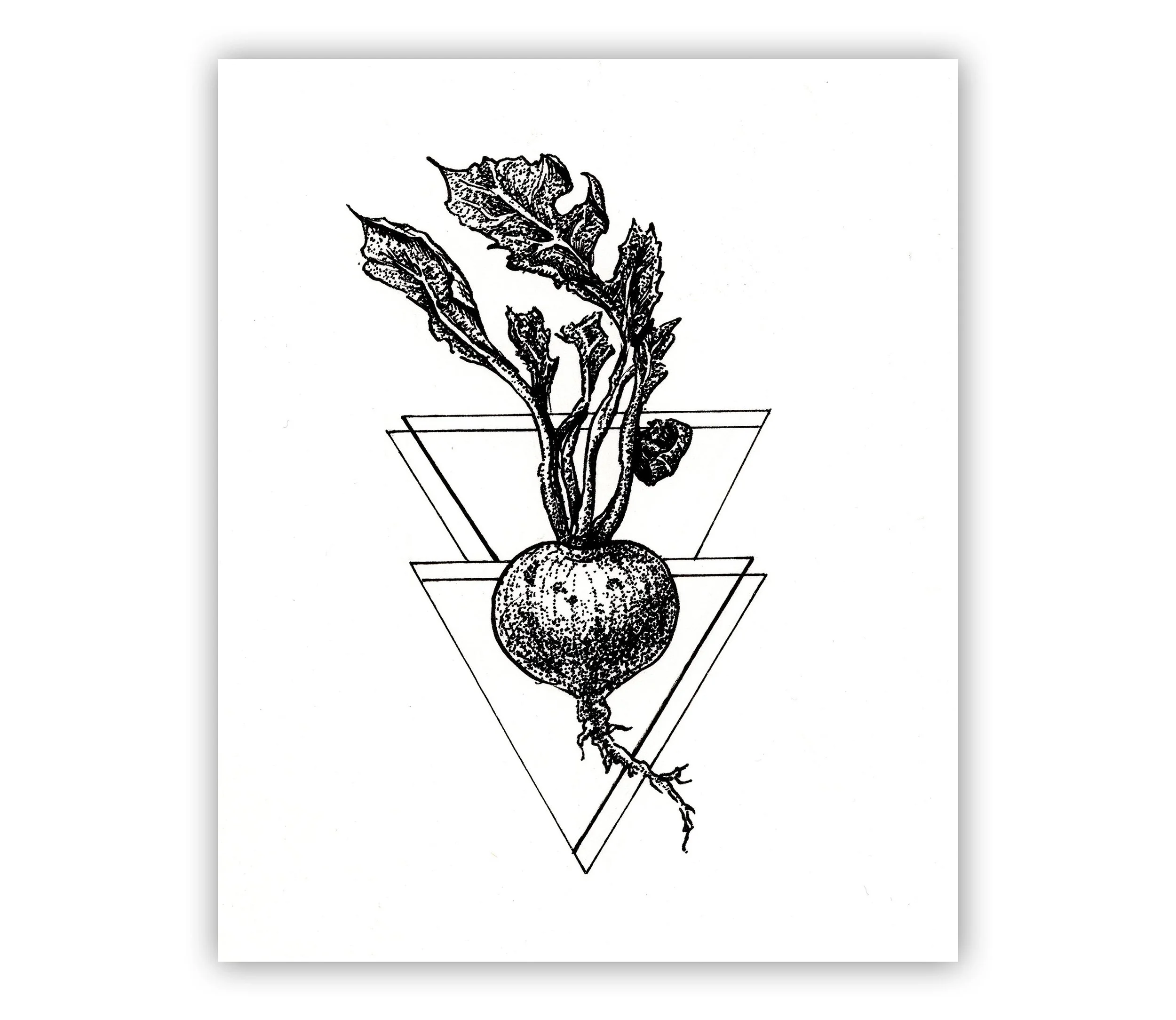 https://i.etsystatic.com/10514001/r/il/130992/3751942872/il_fullxfull.3751942872_rww4.jpg