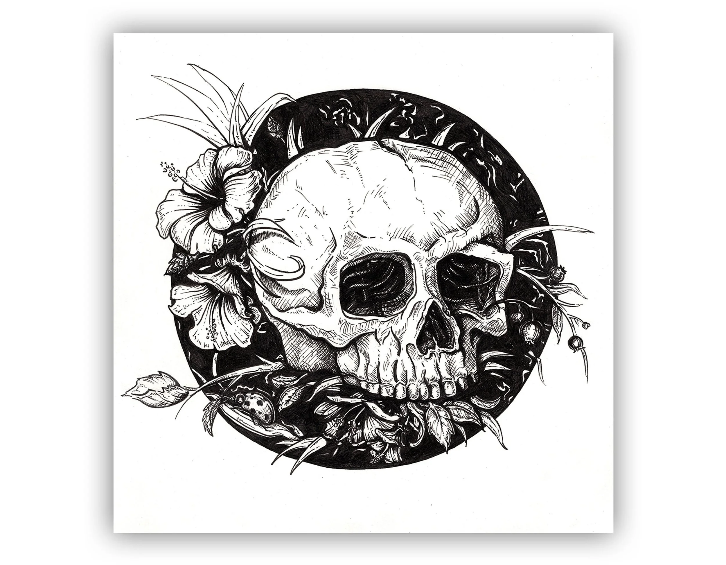 https://i.etsystatic.com/10514001/r/il/33eb0d/3817463807/il_fullxfull.3817463807_88ti.jpg
