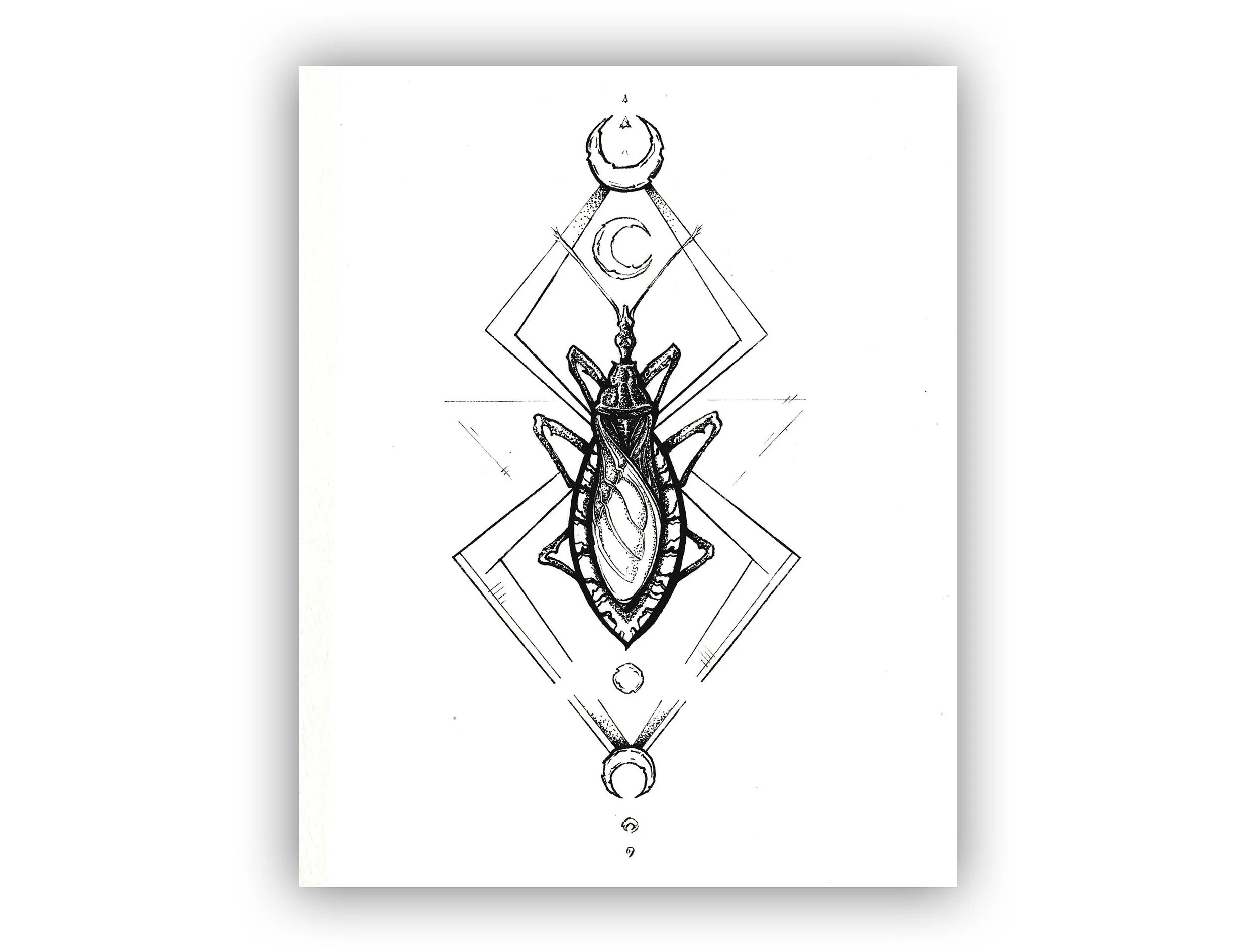 https://i.etsystatic.com/10514001/r/il/0ad602/3817389361/il_fullxfull.3817389361_m9b0.jpg