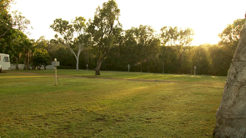 and GREEN GRASS