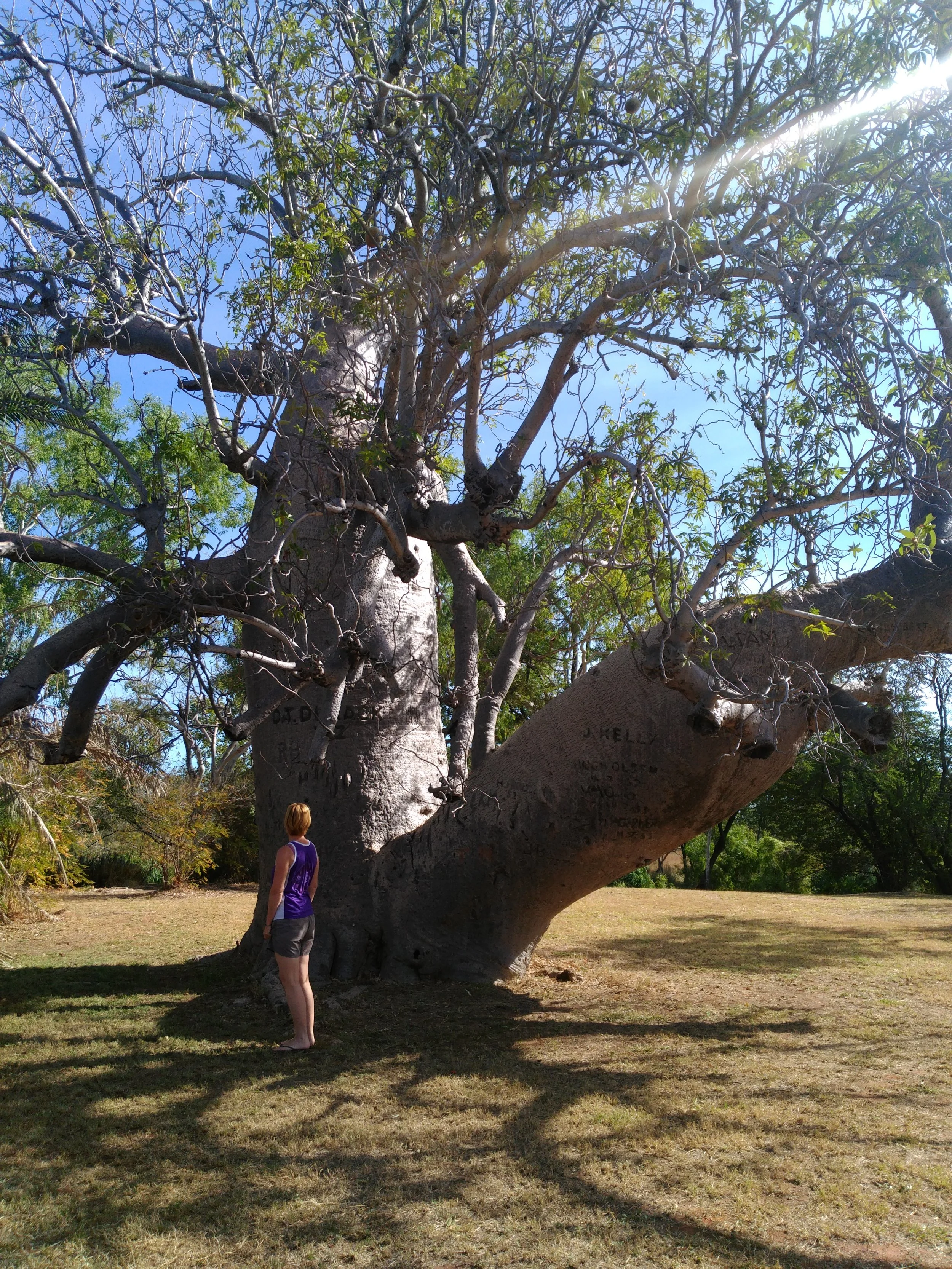 plenty to do and see in Timber Creek