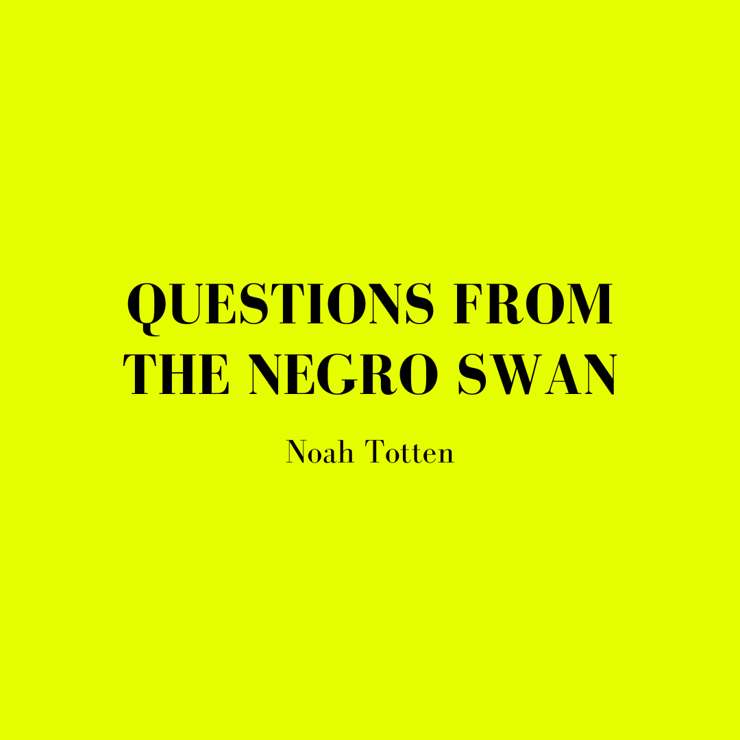 Questions from The Negro Swan