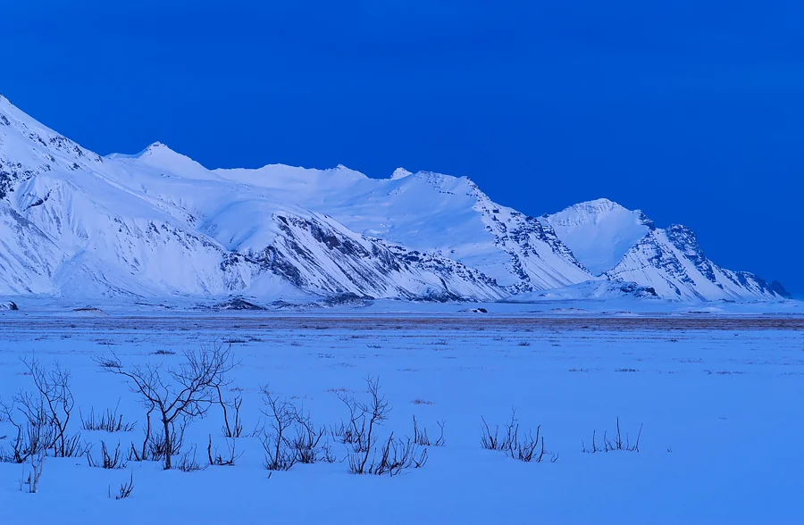 _DSC7102.jpg