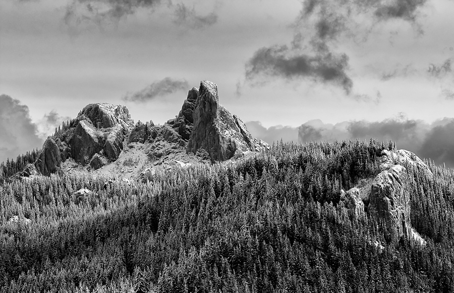 _S8F2937.jpg