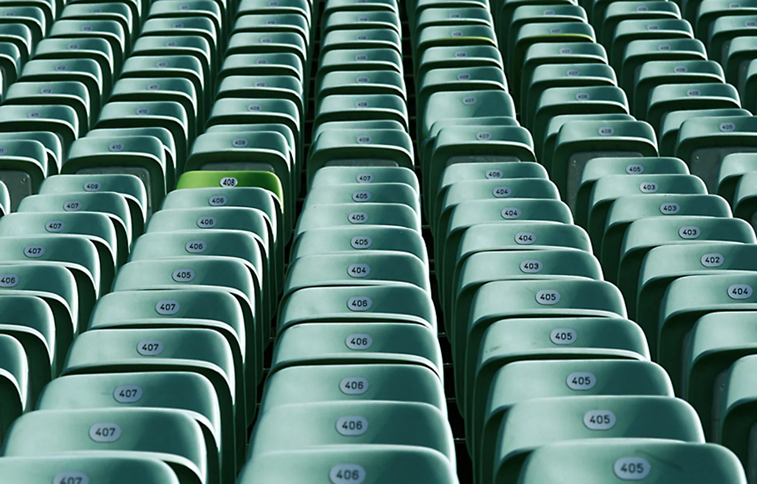 p19_behandlungsspektrum.jpg