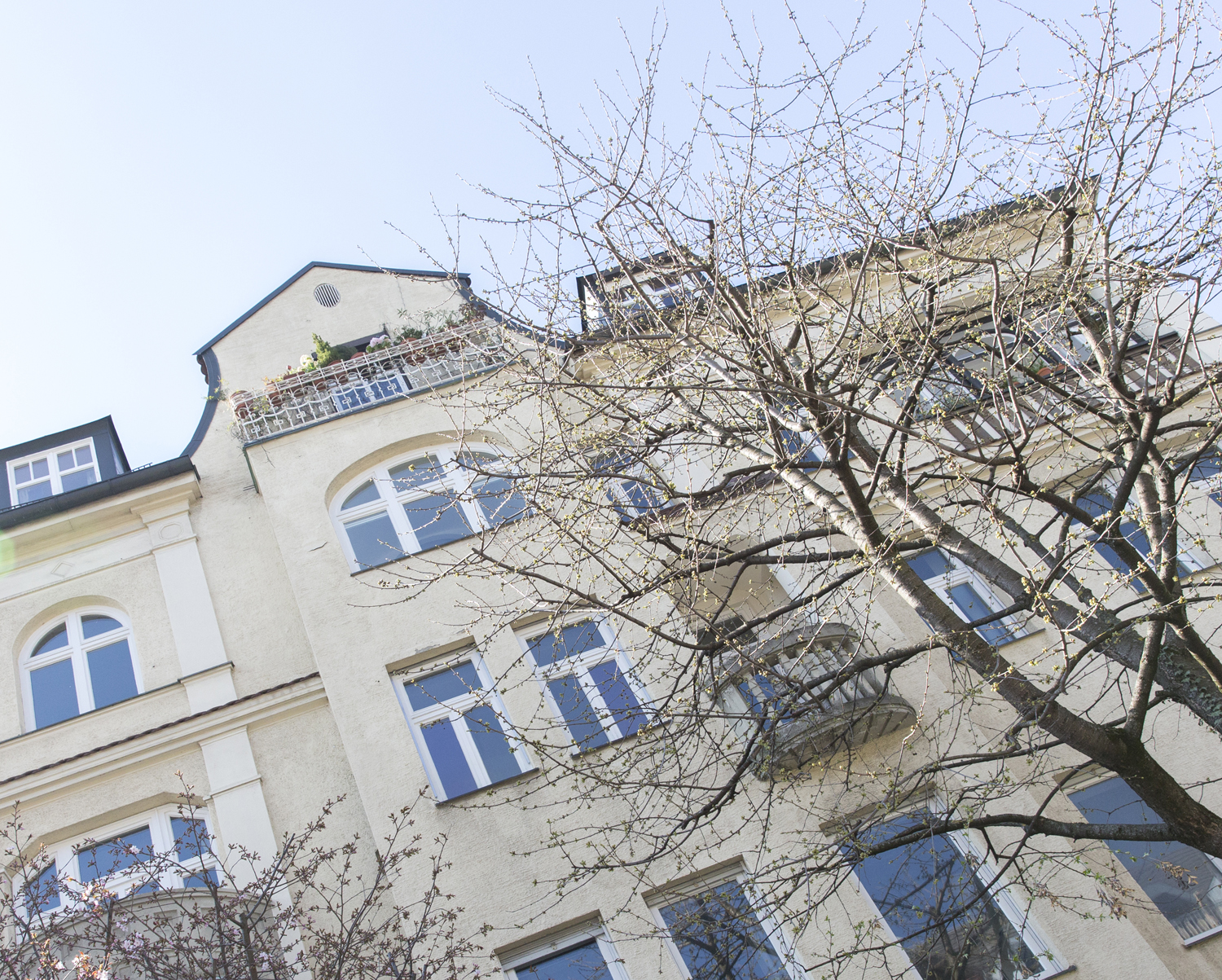 p19_fassade.jpg