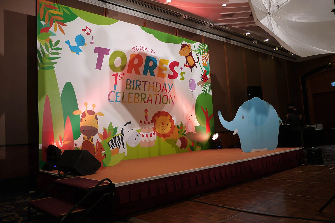 Torres_main backdrop2.jpg