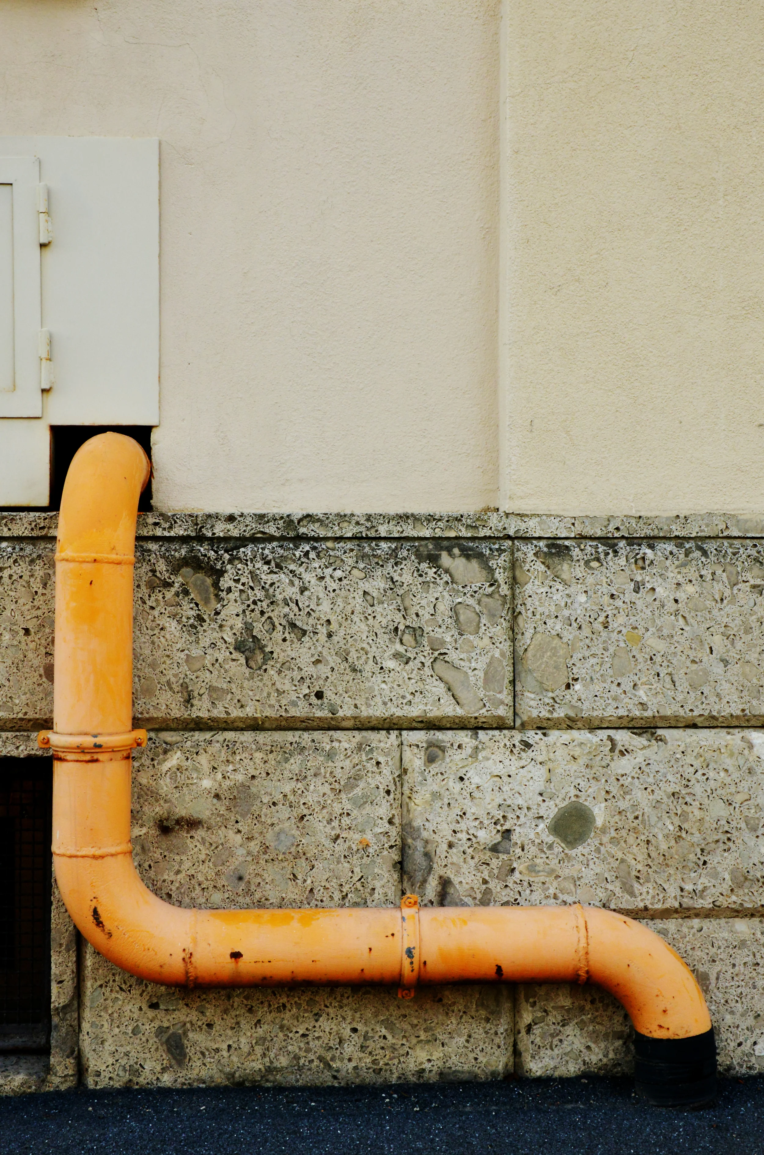 DSC_5342B.jpg
