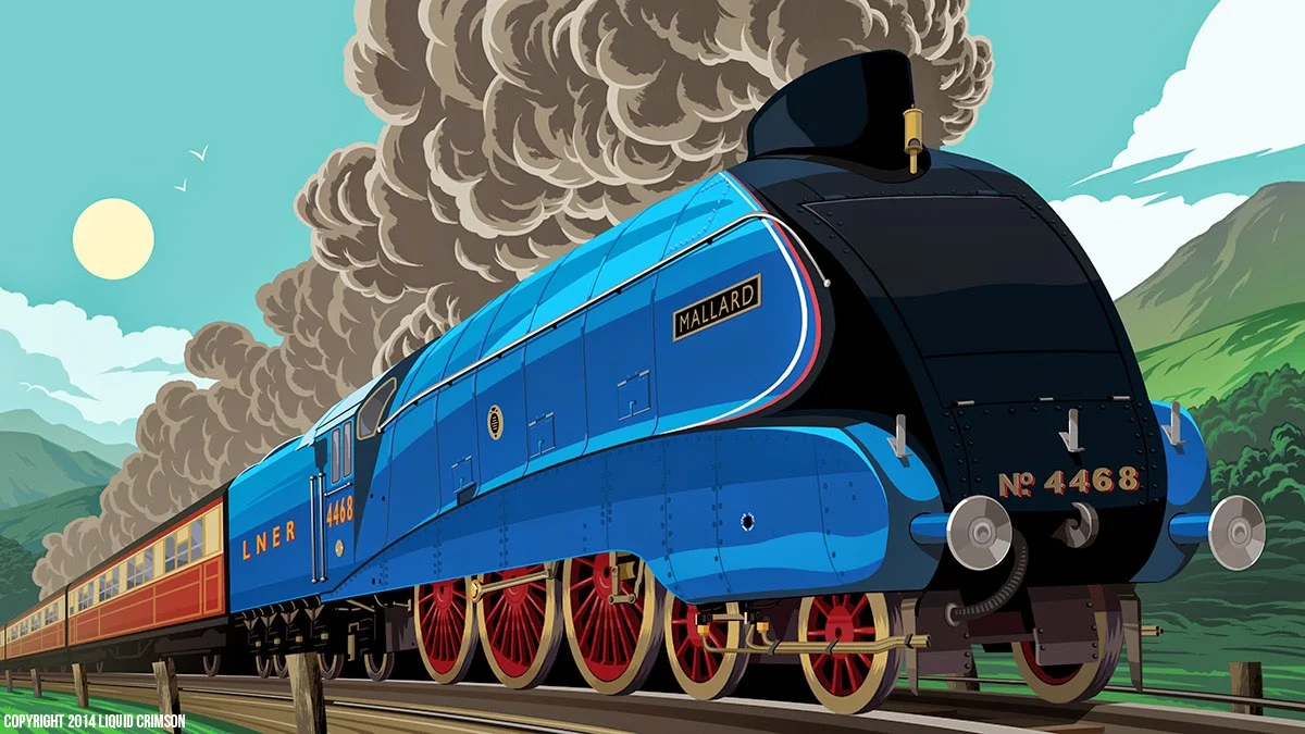 Mallard_Illustration_RAB.jpg