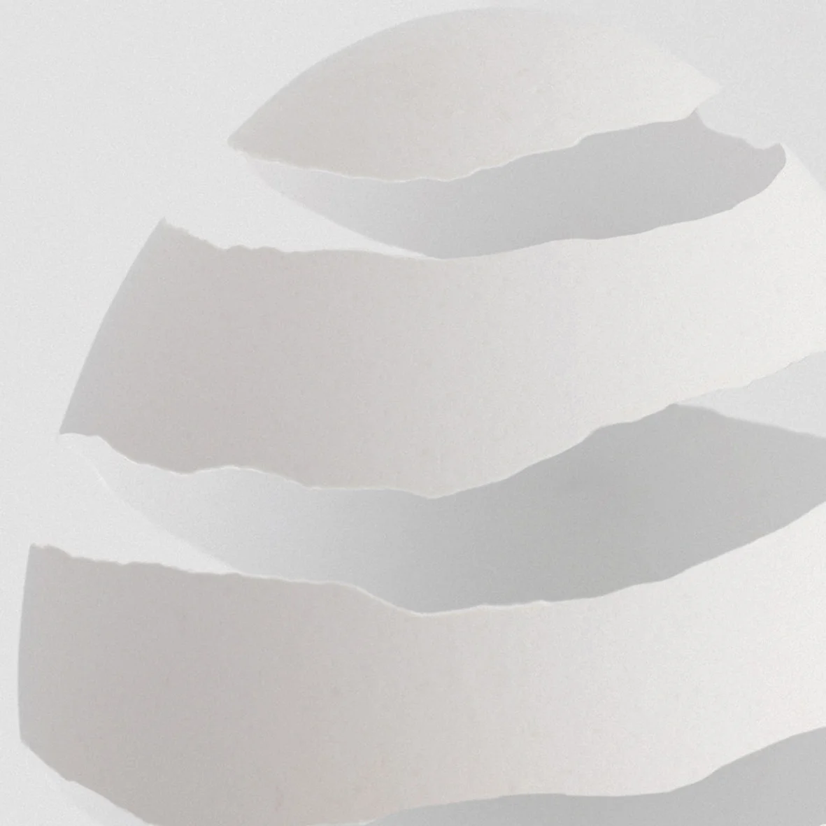 design week egg white.jpg