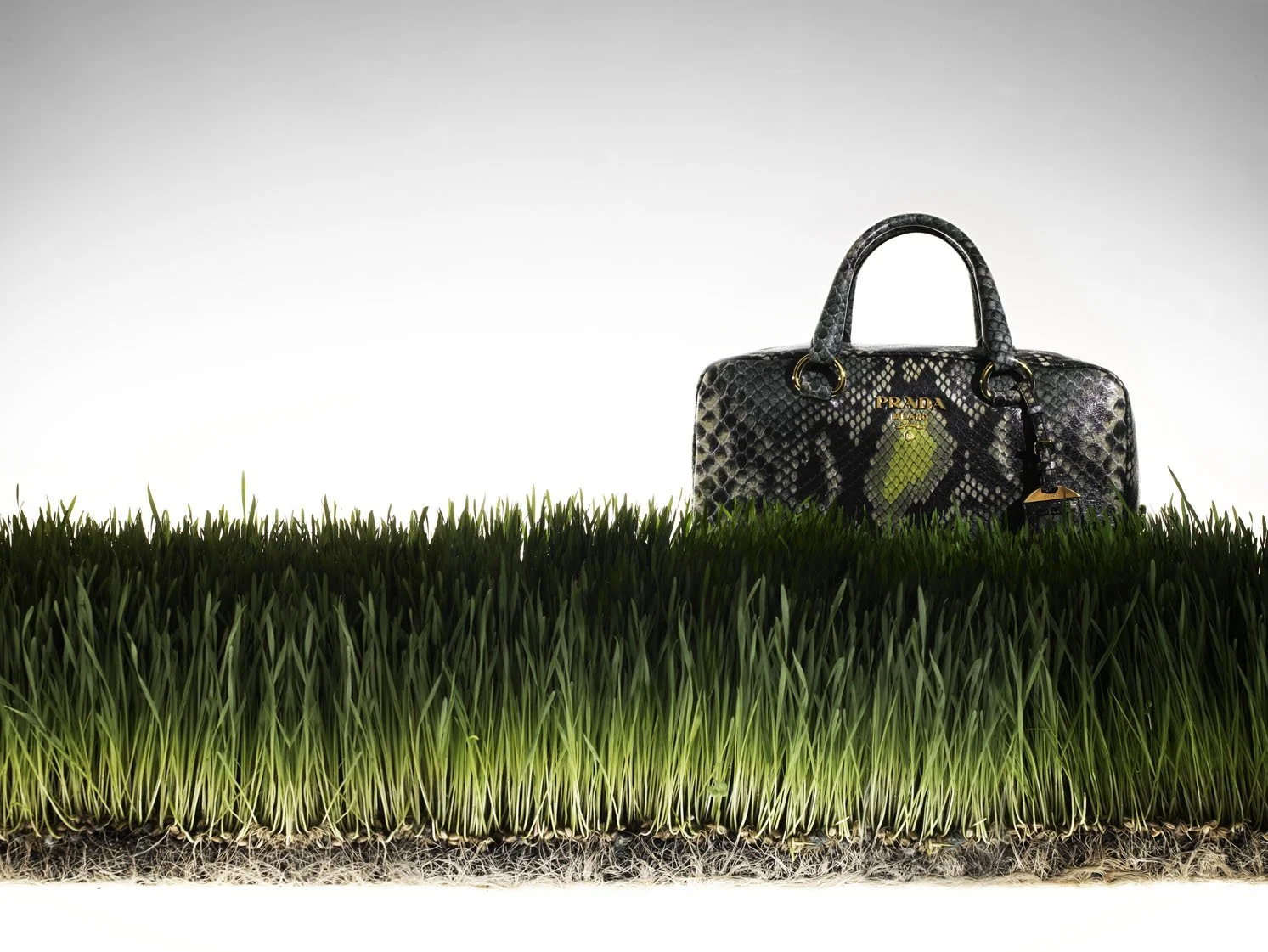 Prada snake '16 resize.jpg