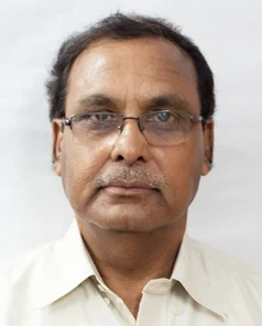AI-002 Pijush Roychowdhury.jpg