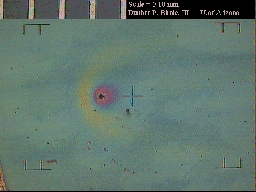 Sol-gel PZT on Silicon wafer