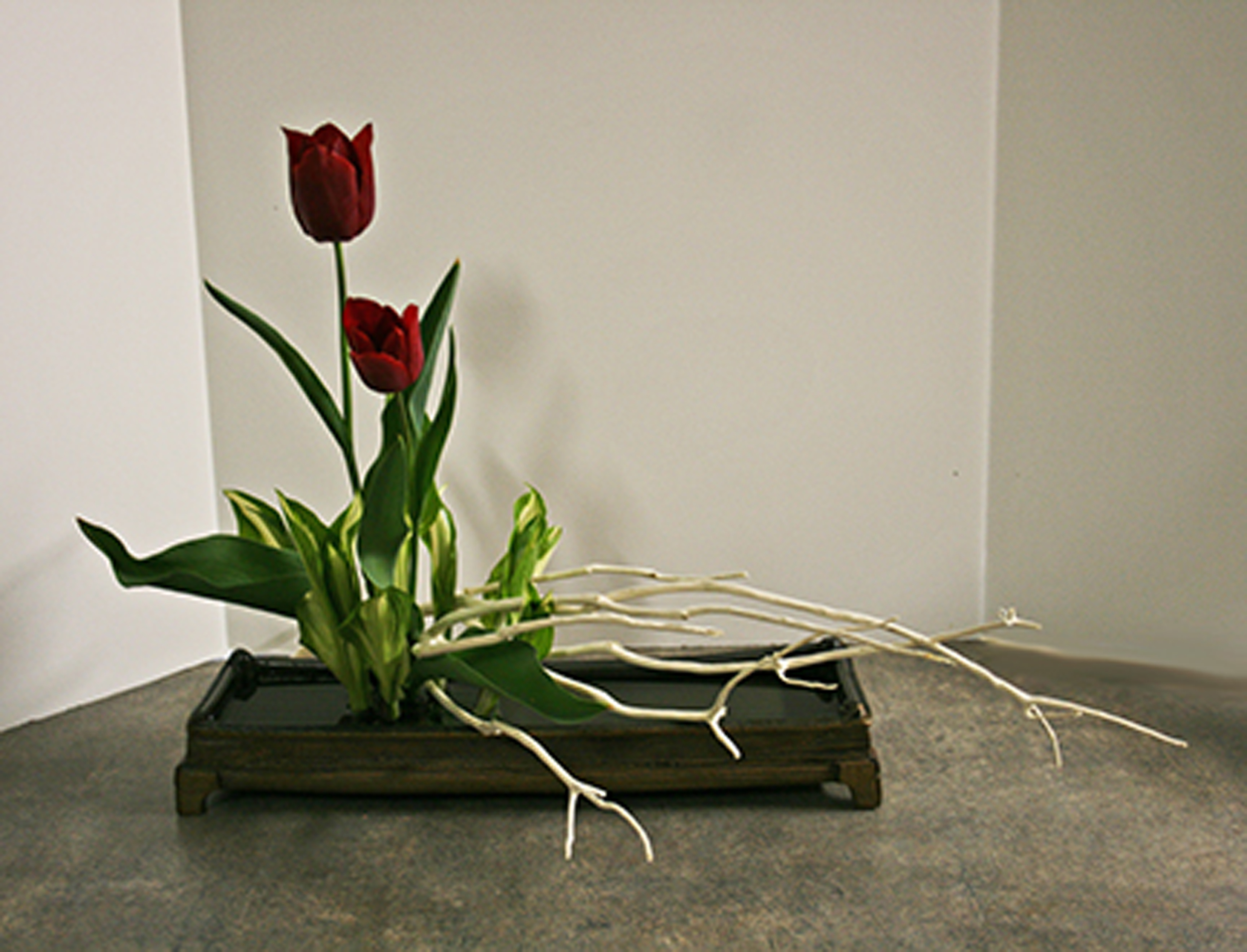 Container + Flowers by Sue Grier