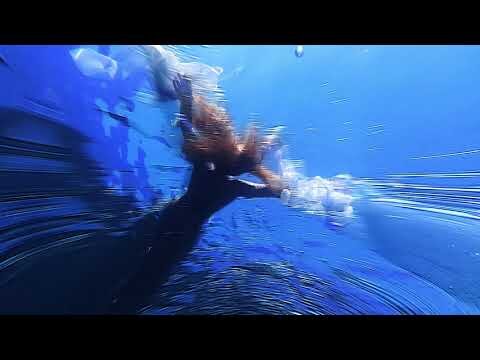 caro♡ - sad song 77