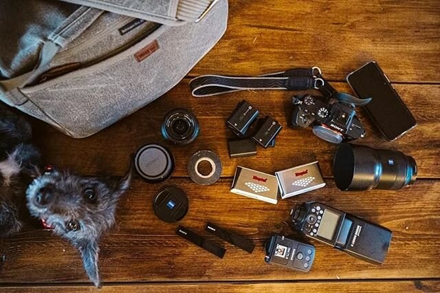 Great to see our pup Inca on @shotkit :) Such a great resource for anyone interested in photography... Check it out, link in profile.

#shotkit 
#weddingreportage
#weddingdocumentary
#ukweddingphotographer
#naturalweddingphotography
#authenticwedding