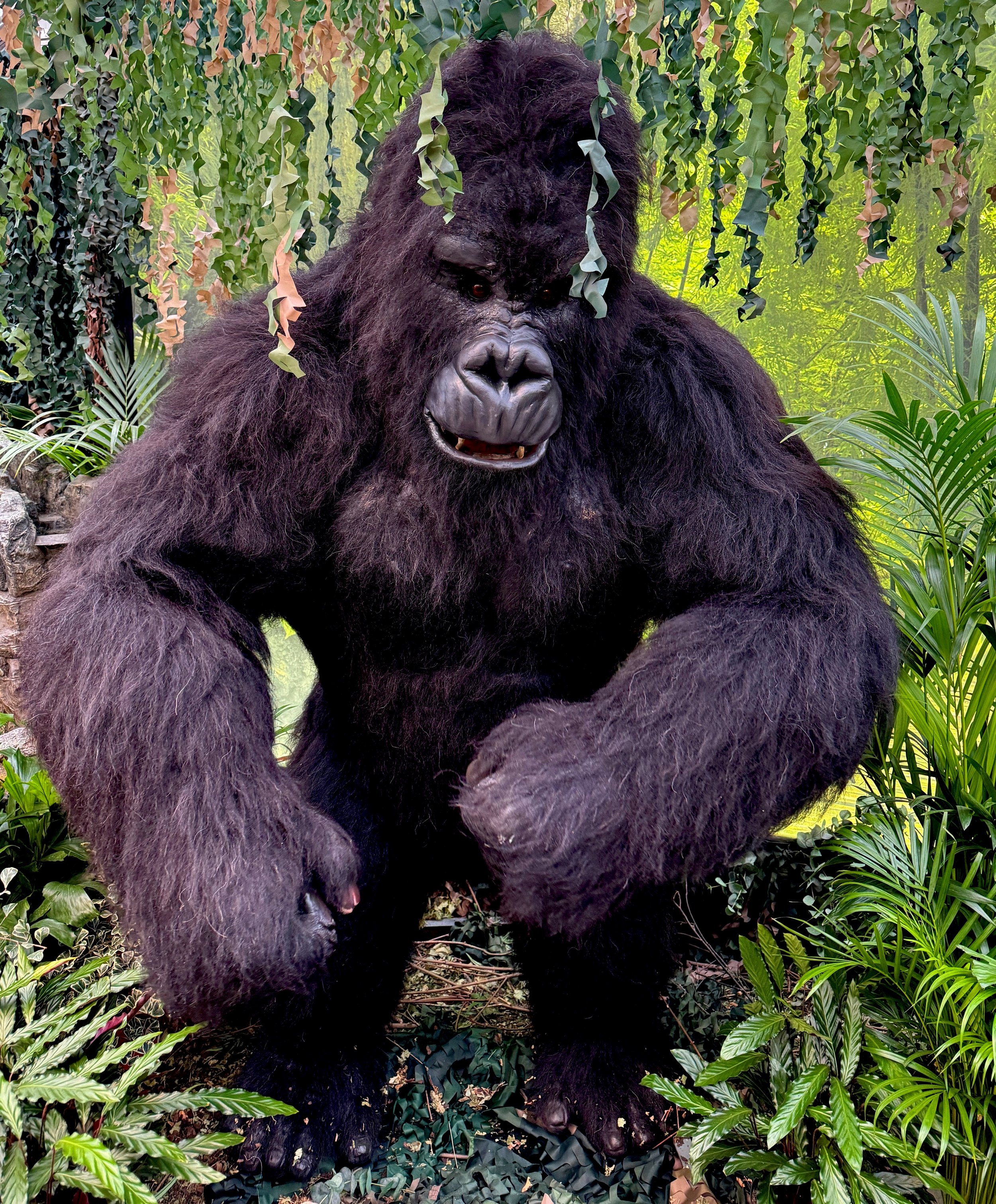 Gorilla Kong 2.jpg