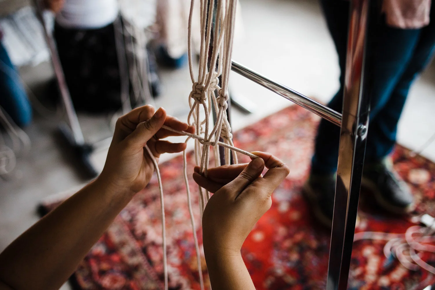 House Sparrow Nesting Macrame Workshop Tulsa Oklahoma.jpg