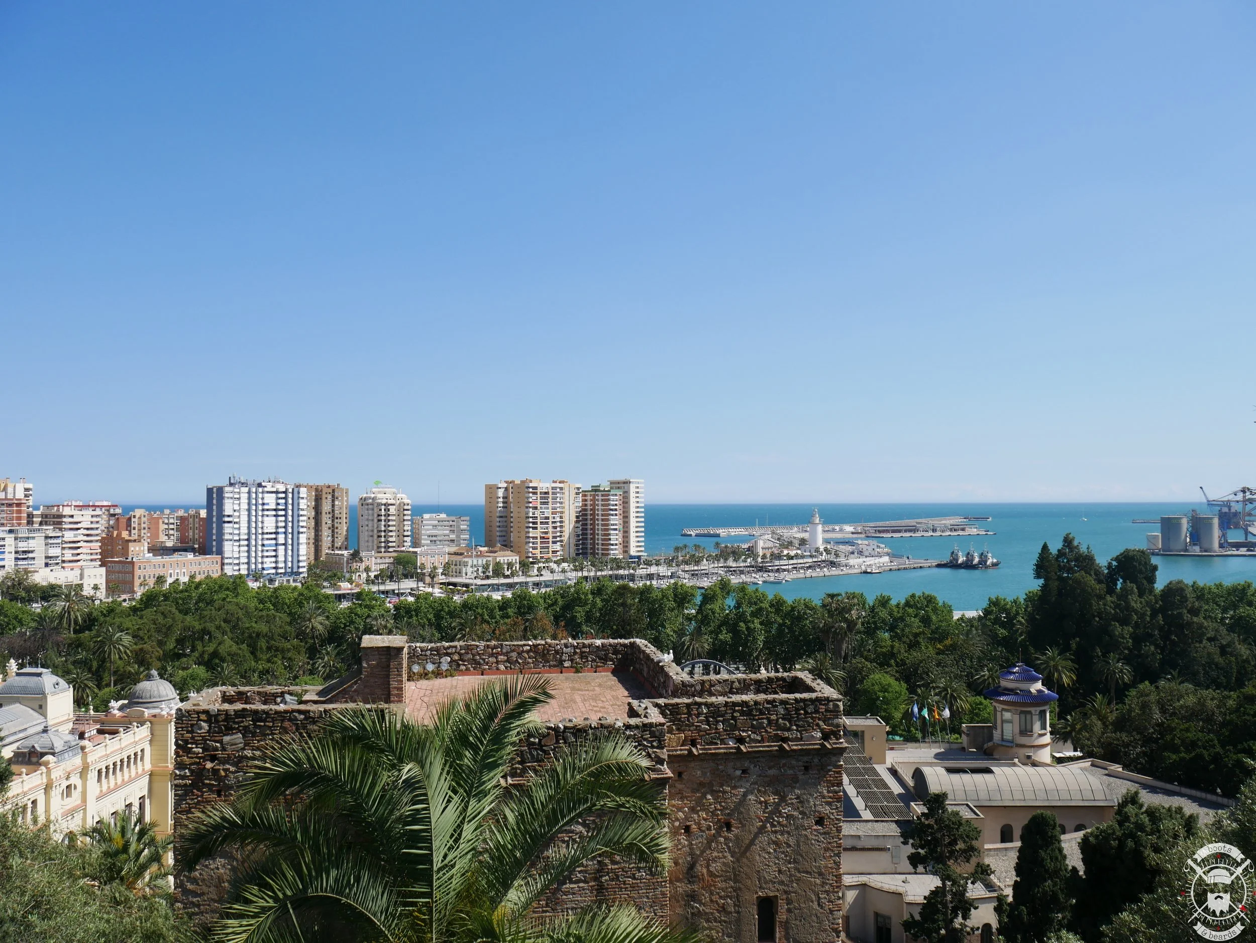 P1050830.jpg