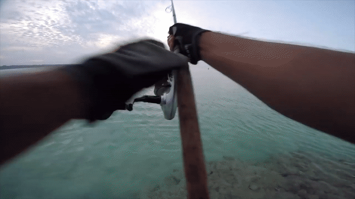 boots and beards fishing glasgow bme trip.gif