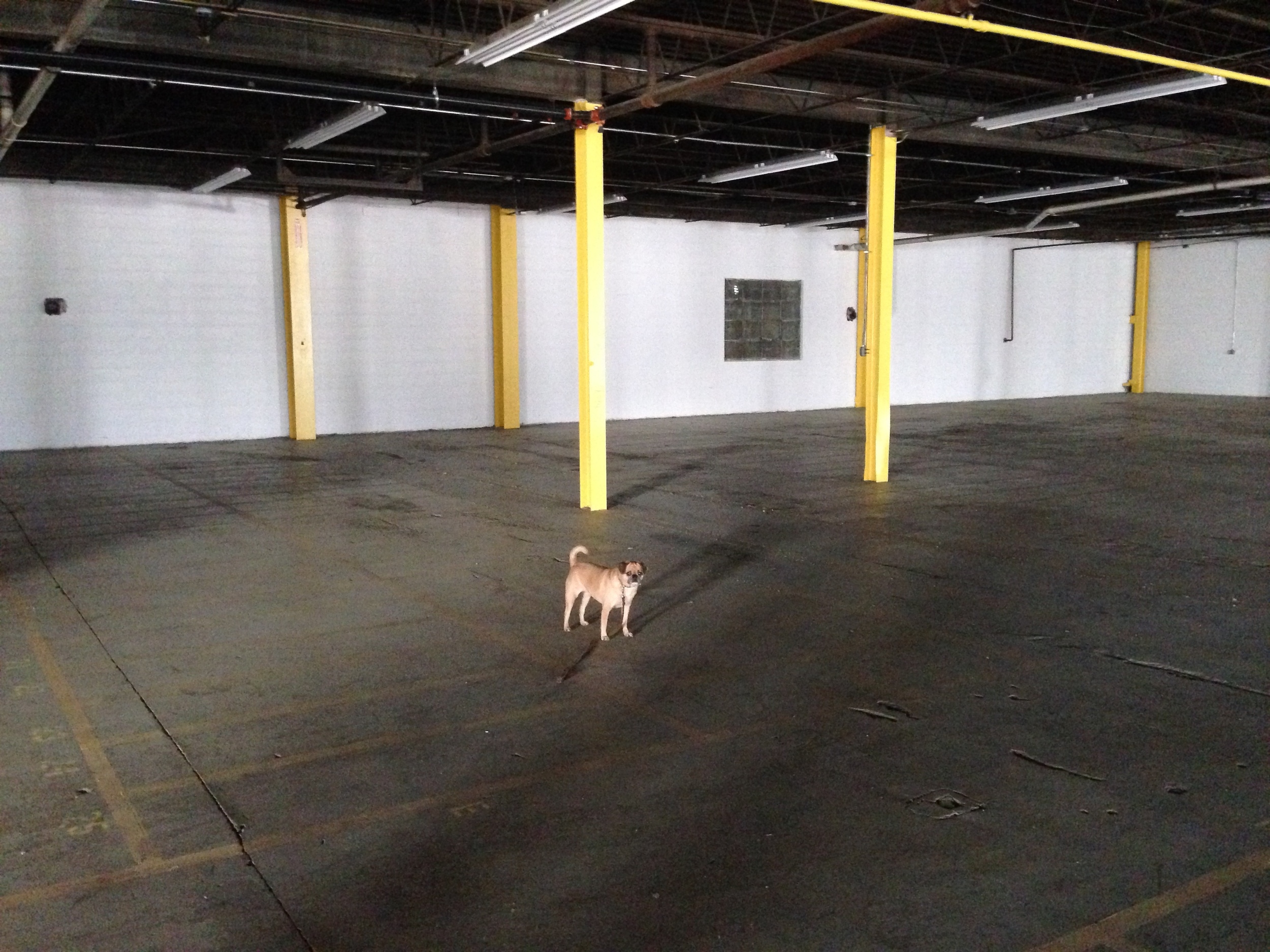 Dog not included.