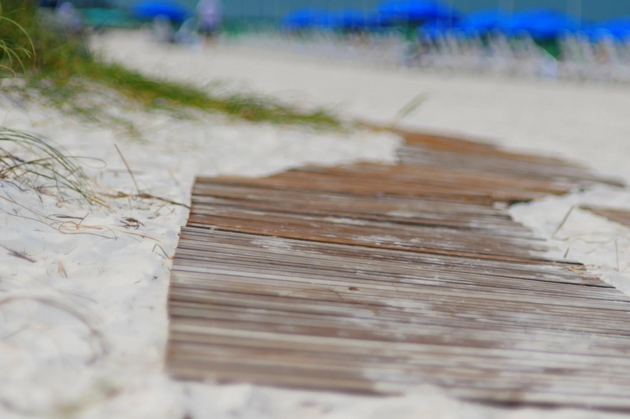 About header 1.jpg