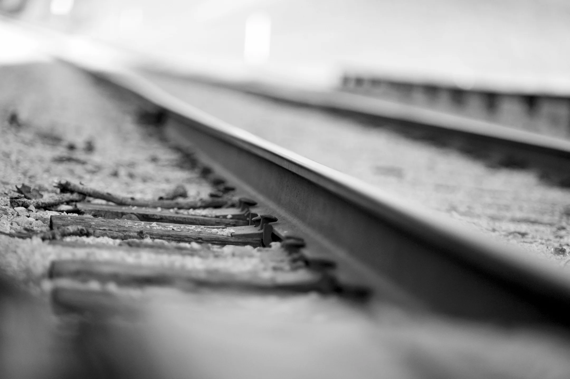 BW header.jpg