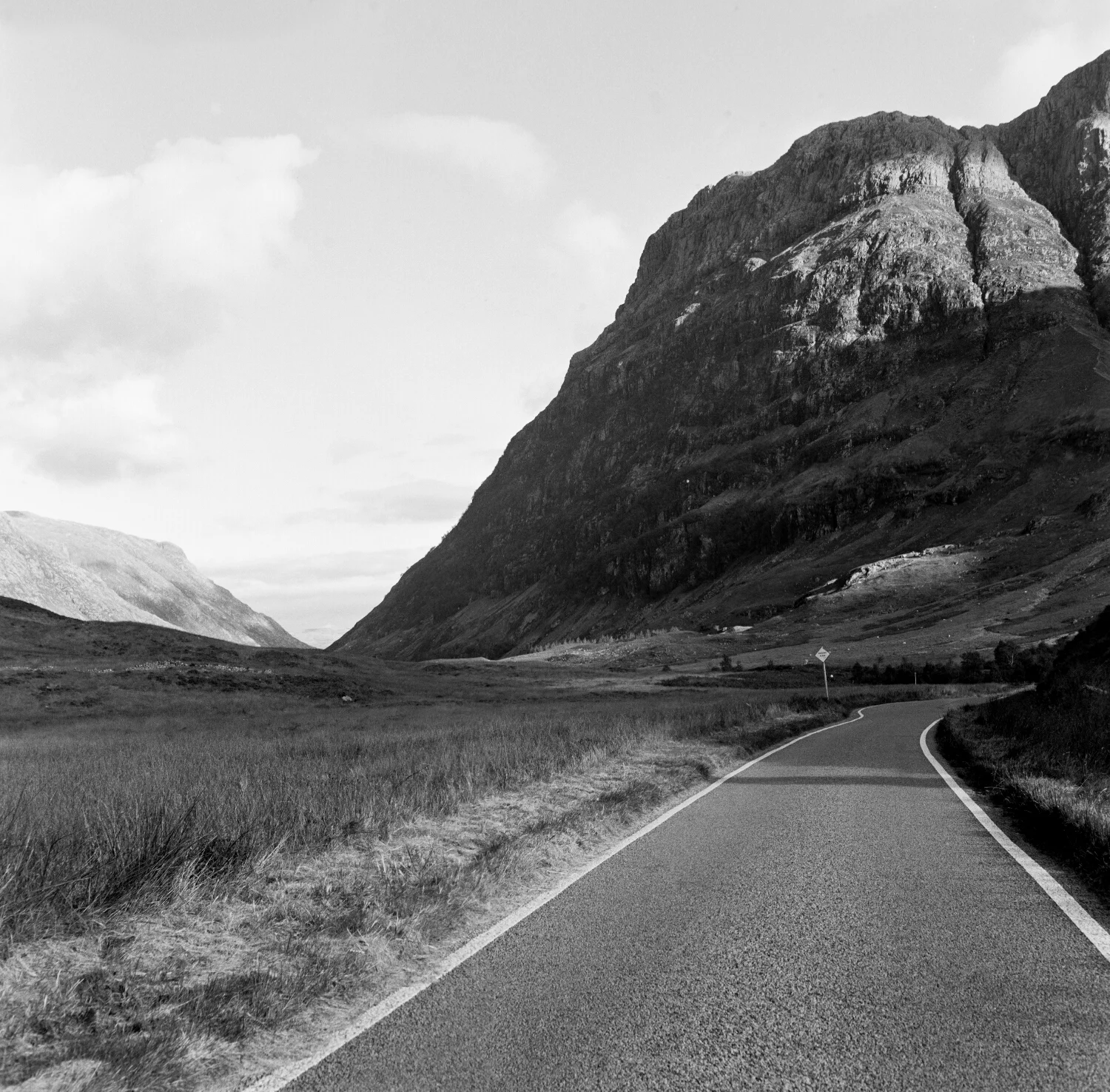 Glencoe Old Road - Kodak T Max 400.