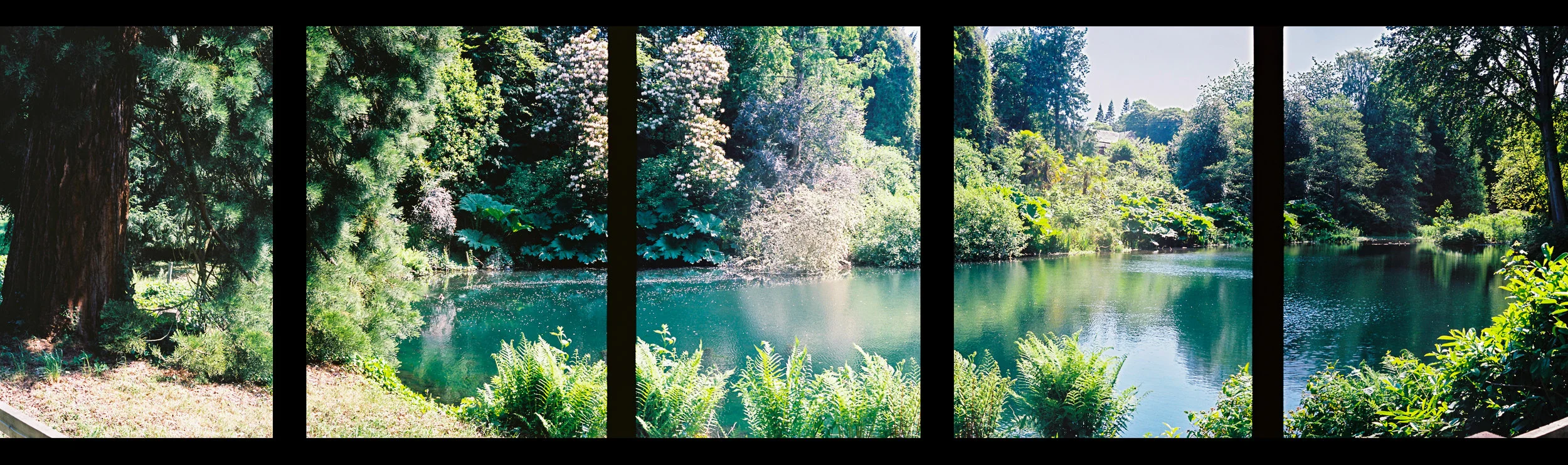 Berries Den Pond Panorama, shot on Olympus Pen D3
