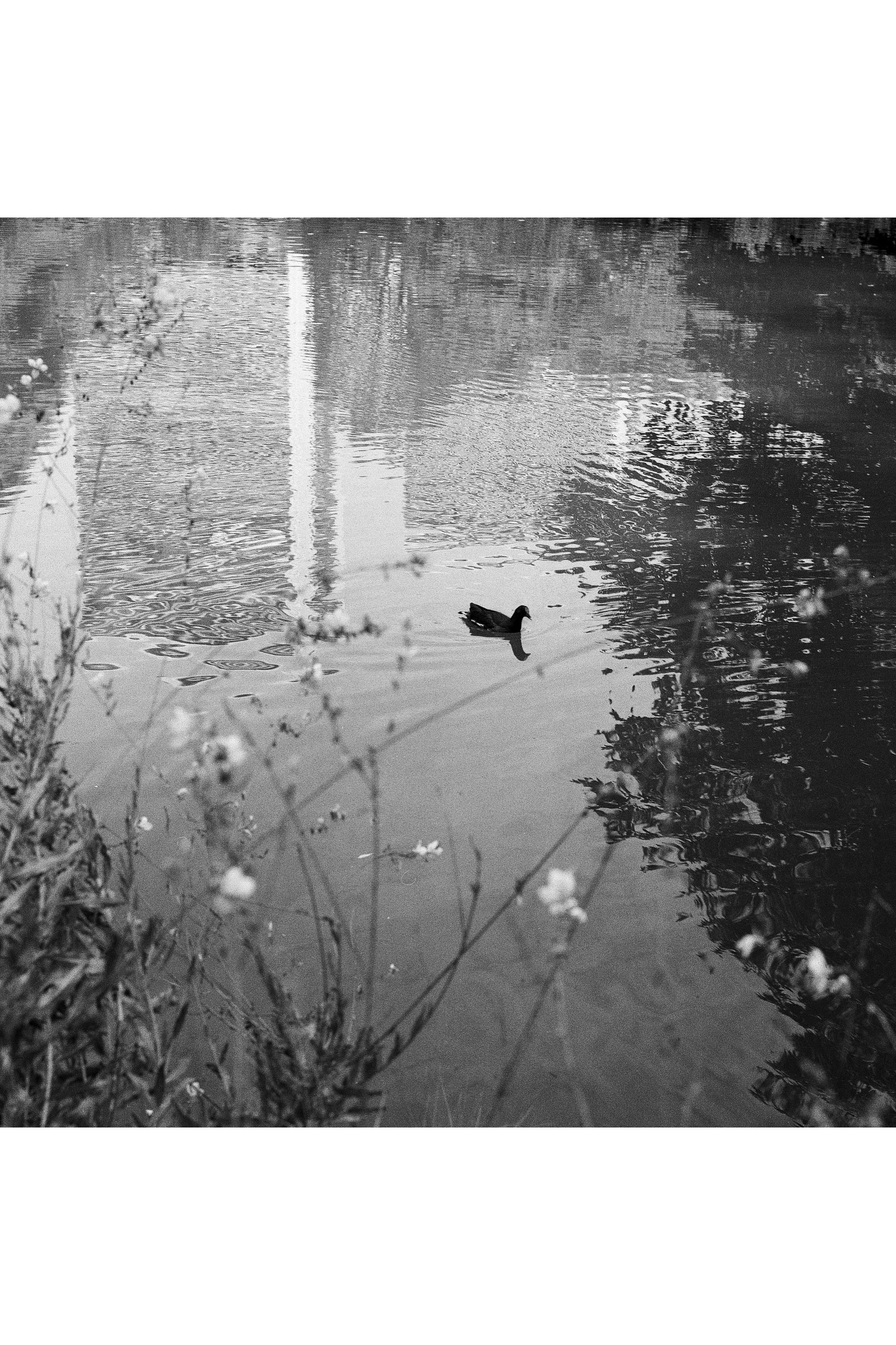 septembre 2025-1.jpg