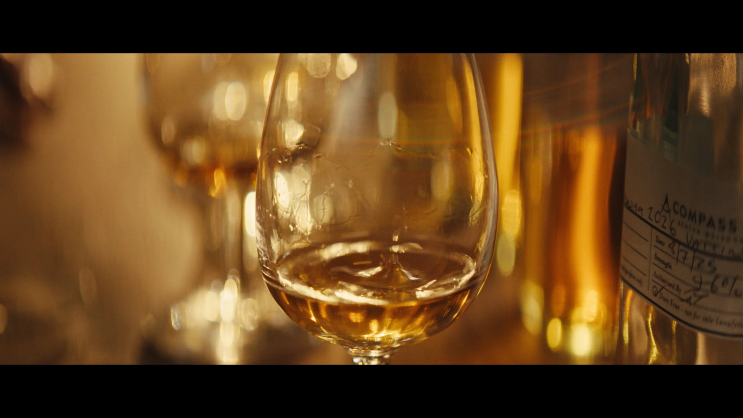 Still 2026-02-19 095752_1.99.1.jpg