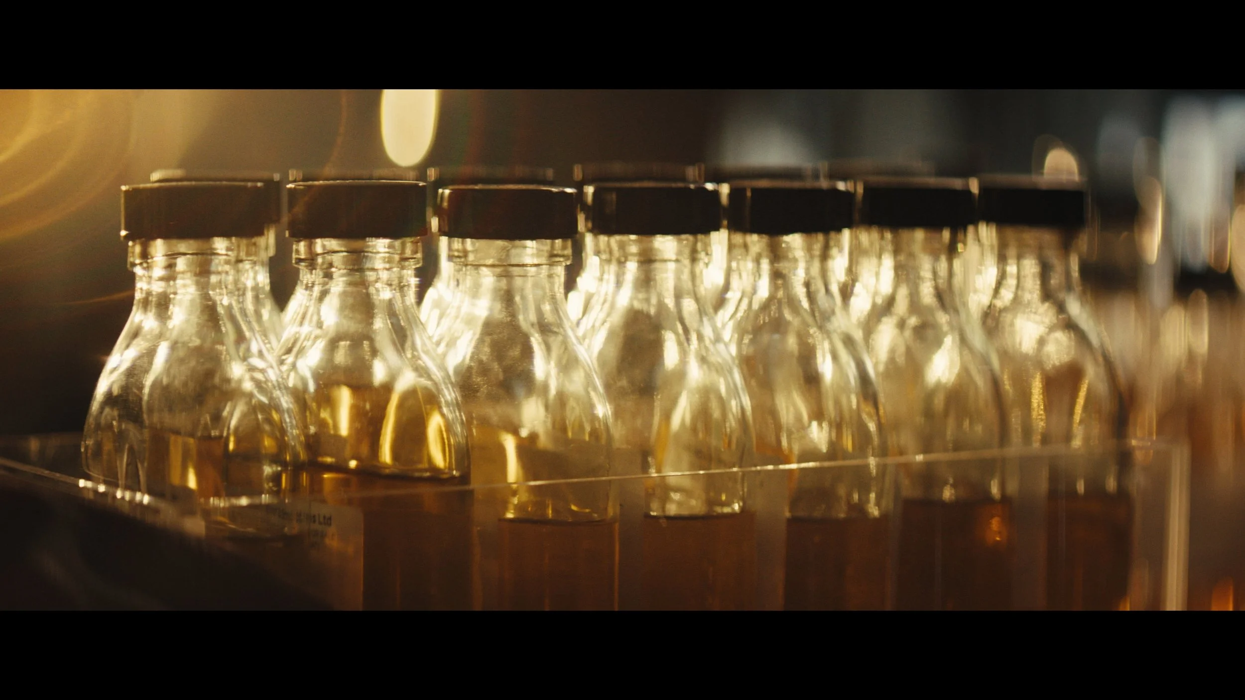 Still 2026-02-19 095752_1.2.1.jpg