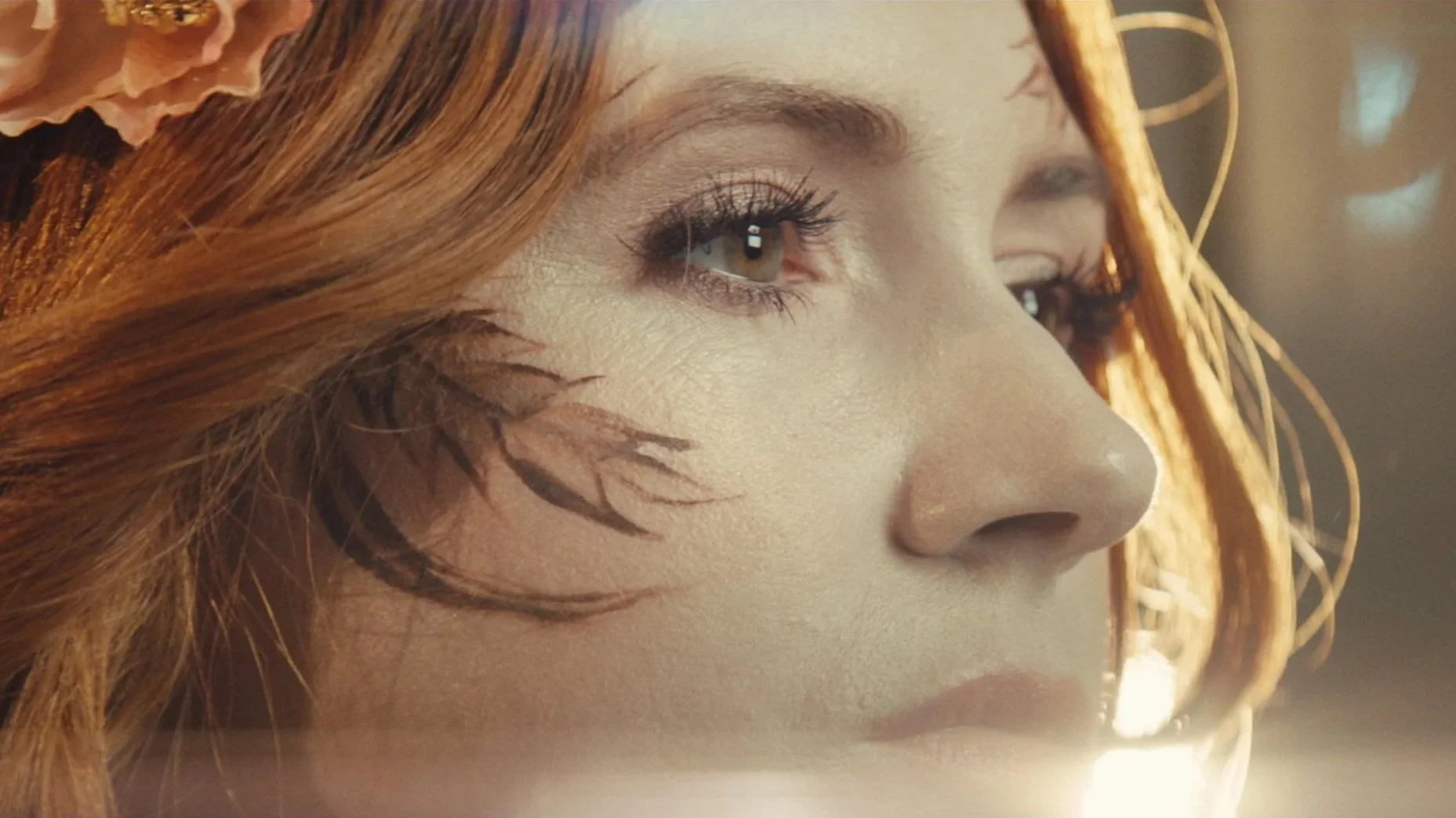 Still 2026-02-19 095752_1.72.1.jpg