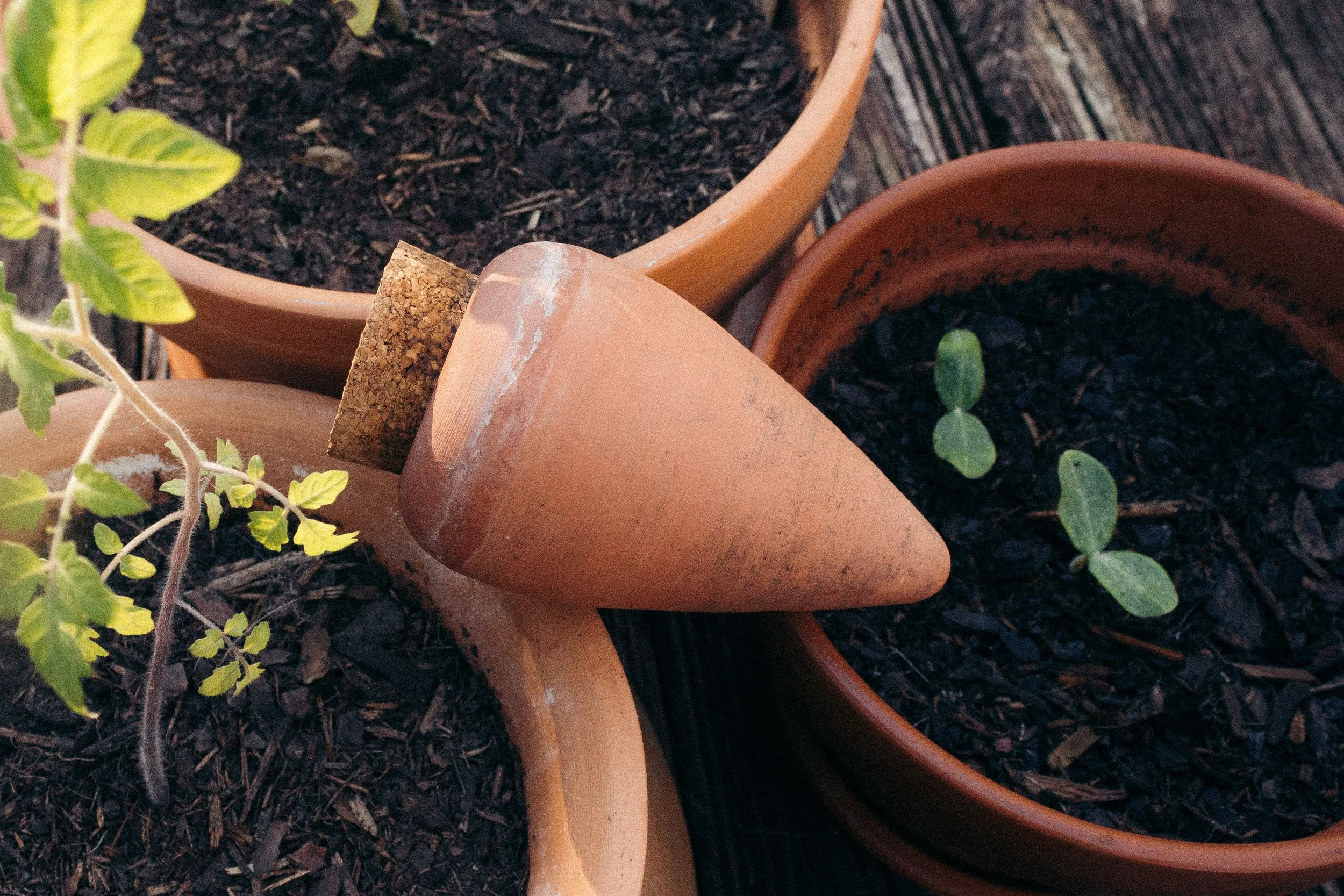 How to use the Olla Watering System — KRISTIINA TAYLOR HANDMADE GOODS