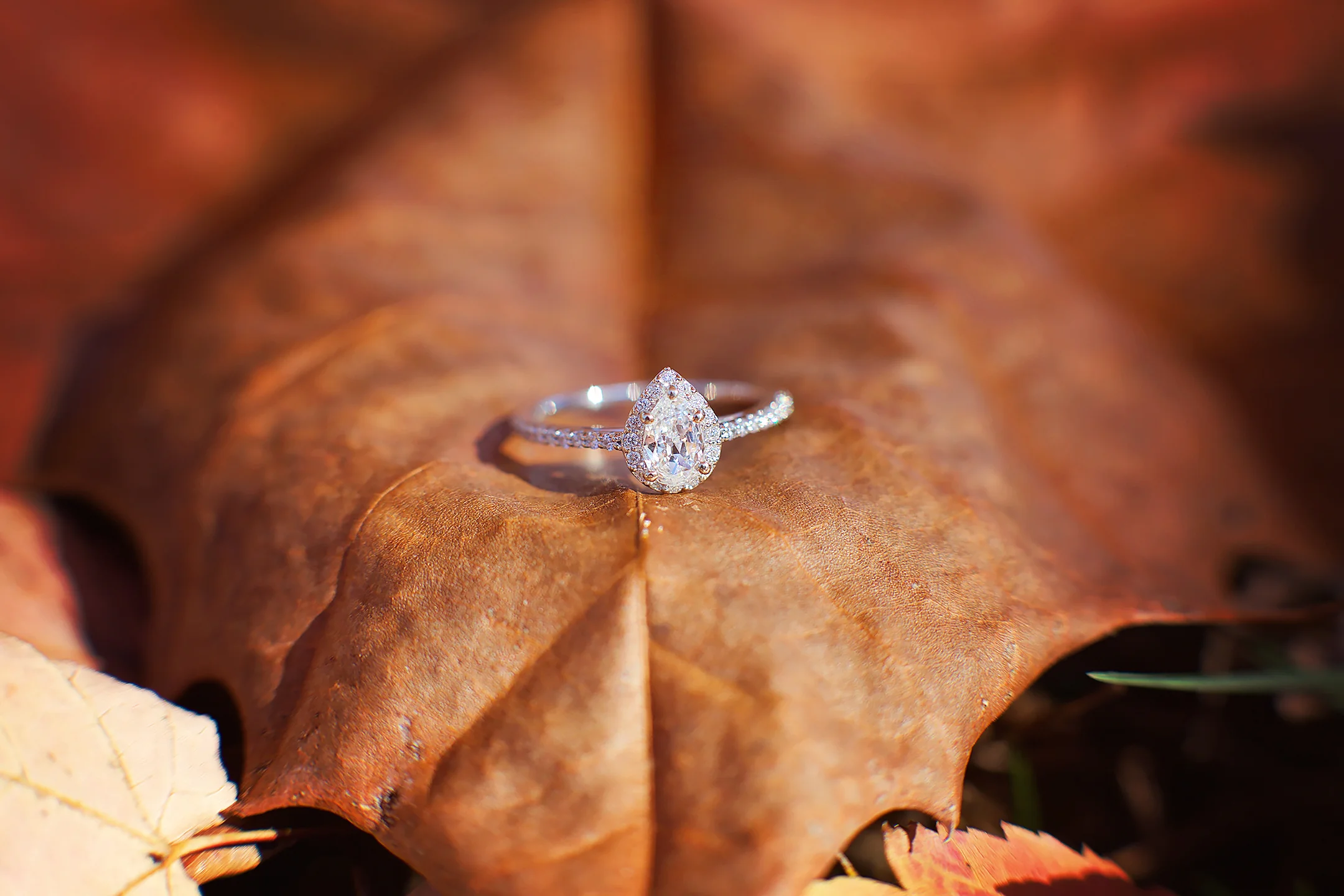 Bloomington Normal IL Wedding Photographer