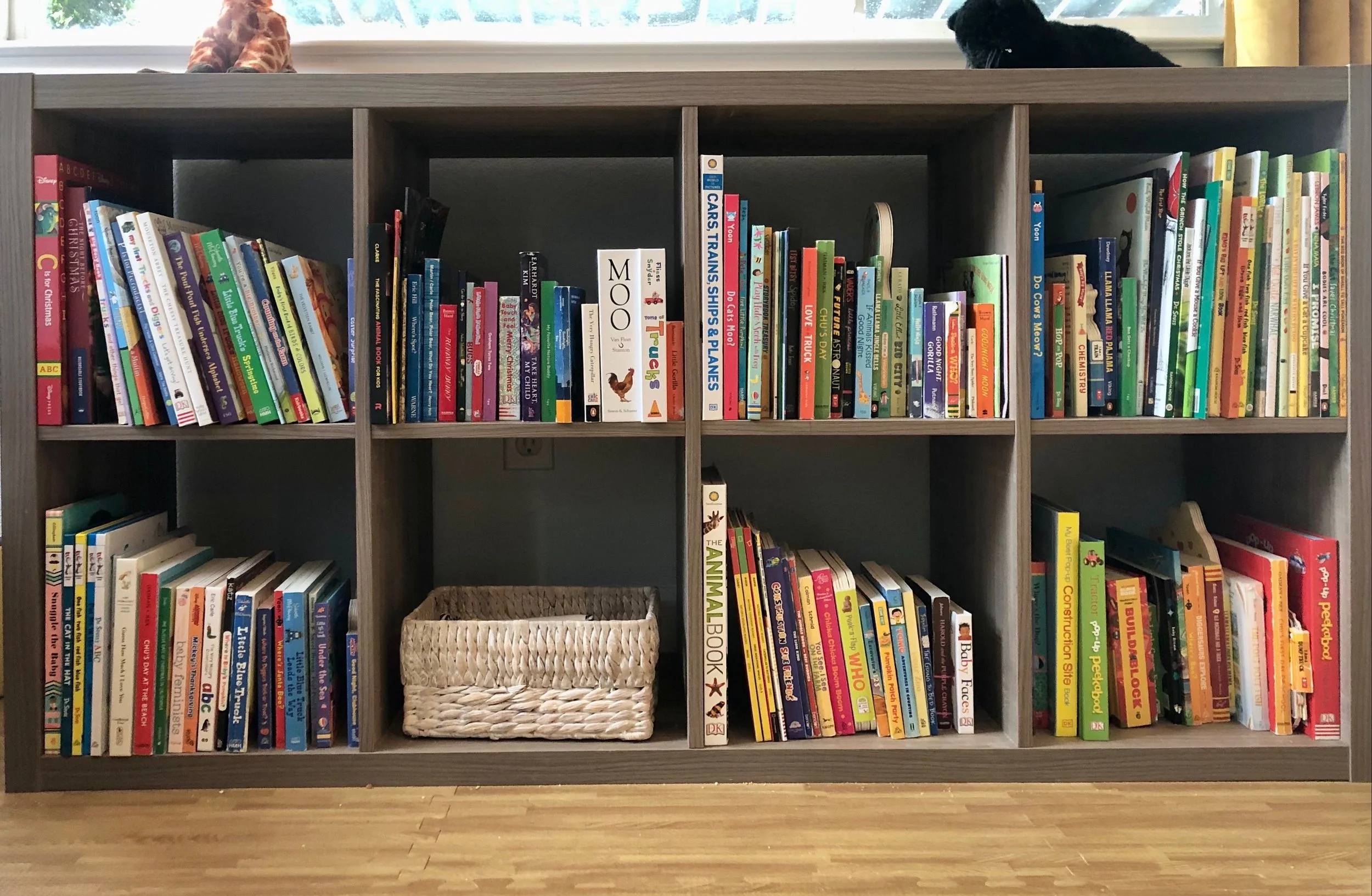 Erin Morey-Smith_Bookshelf.jpeg