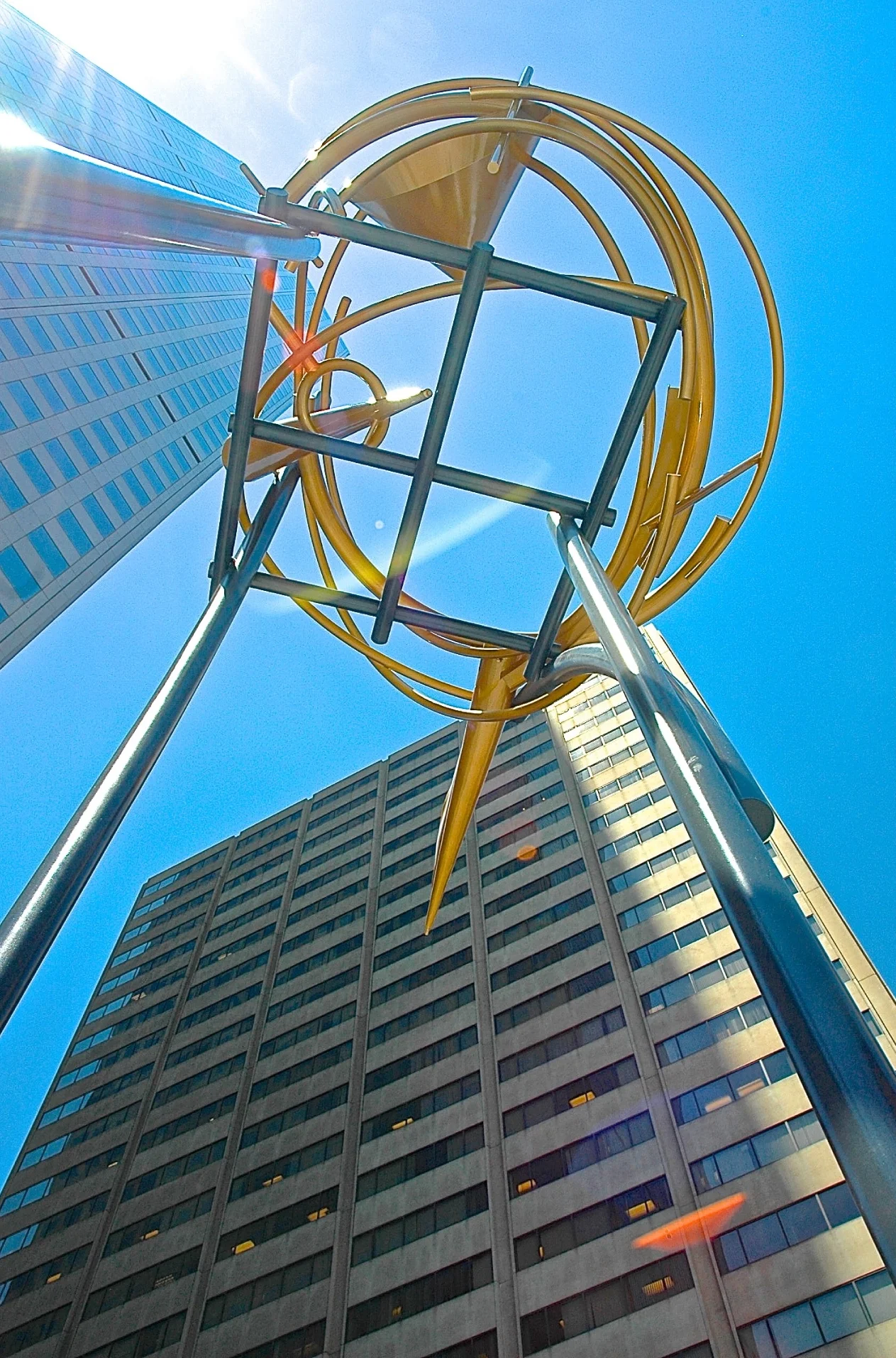 nest1.jpg