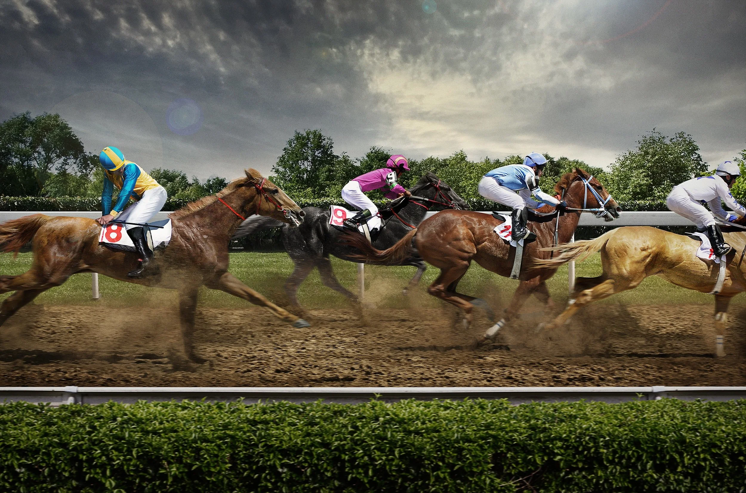 Horses_e-min.jpg